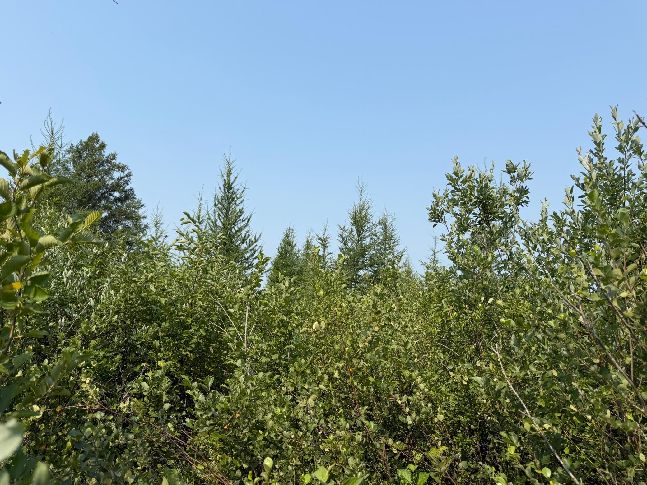 main property photo 66