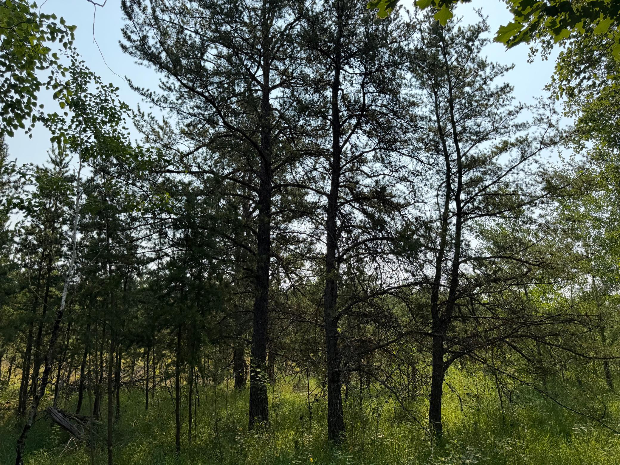 main property photo 68