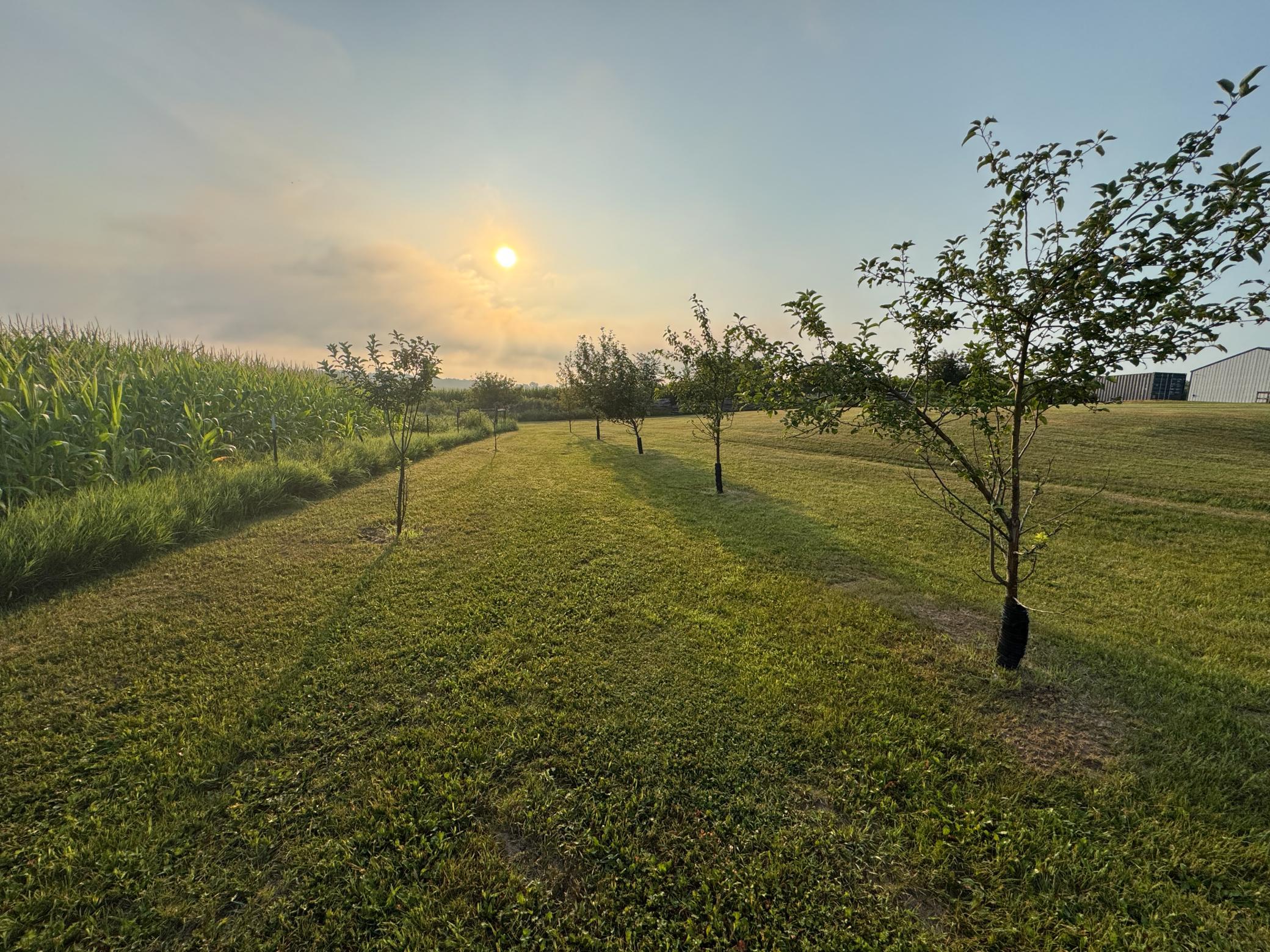 main property photo 51