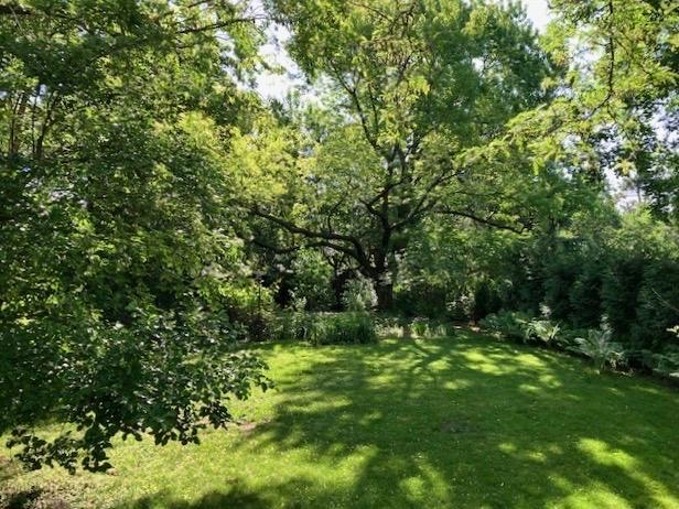 main property photo 52