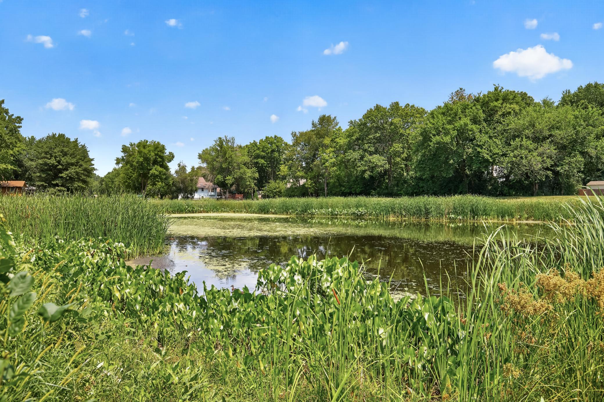 main property photo 47