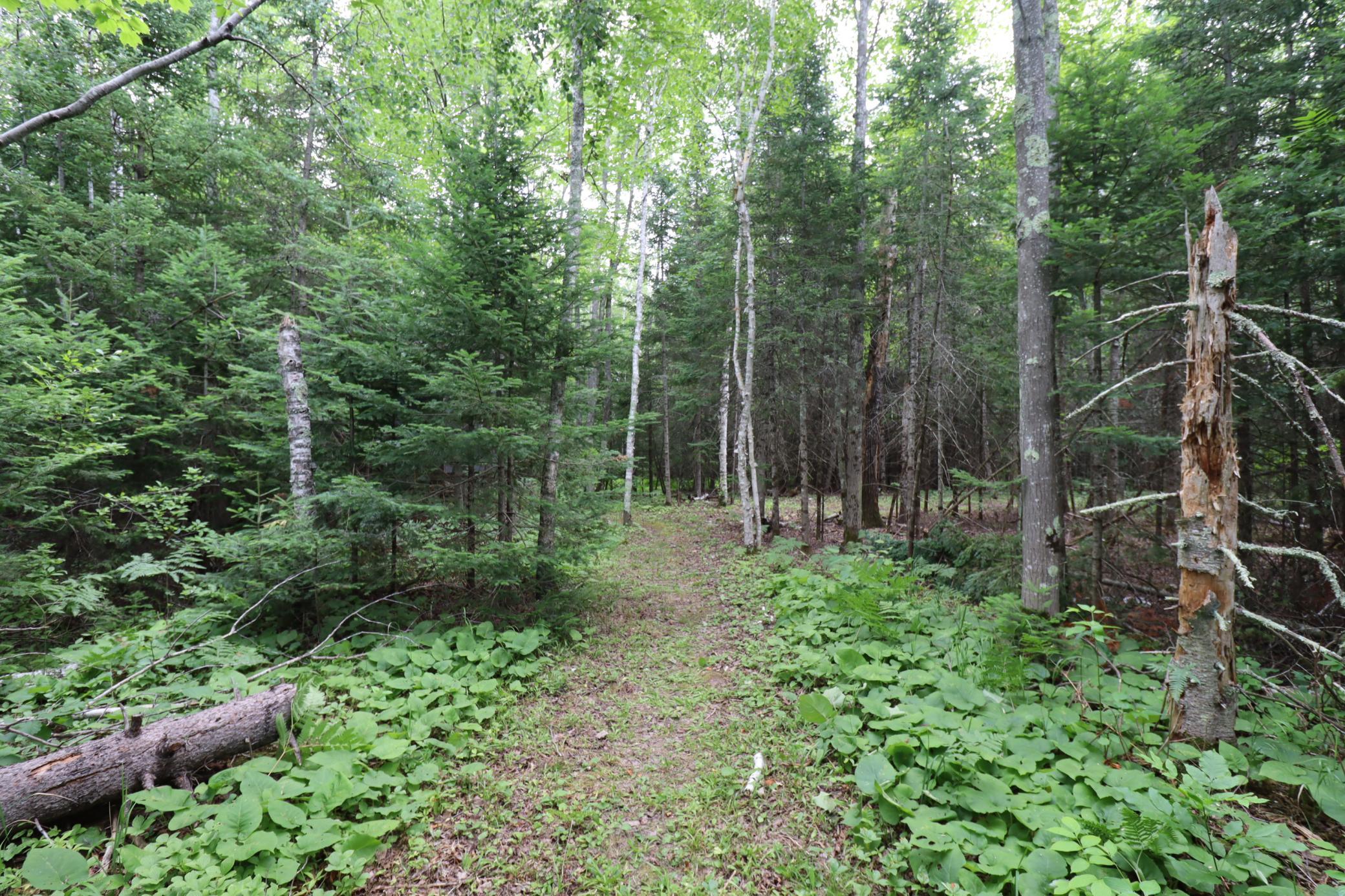 main property photo 53