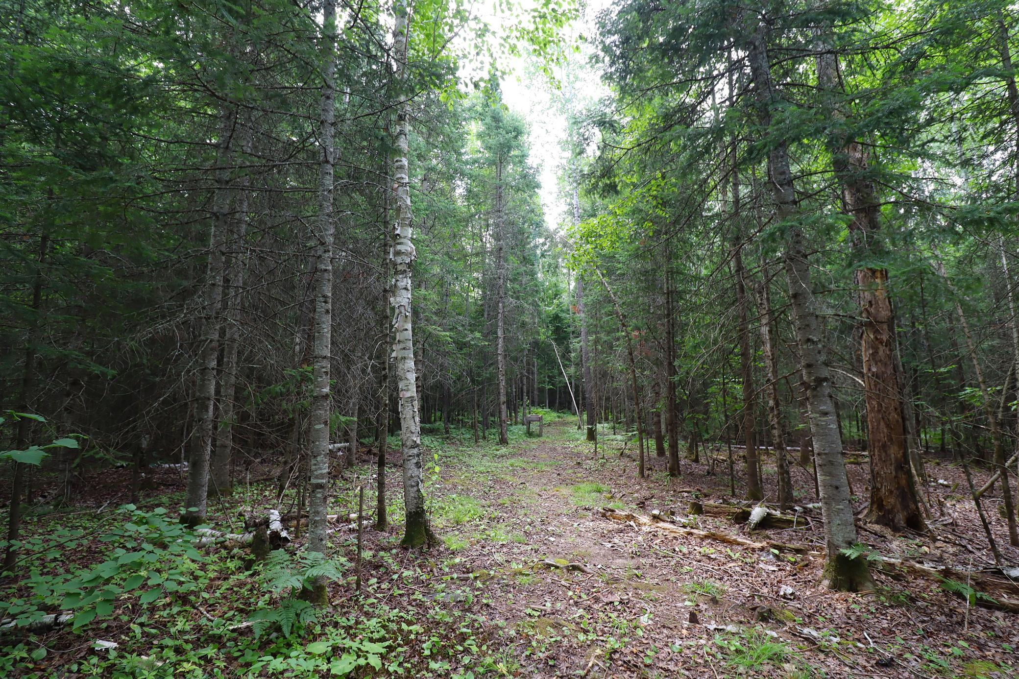 main property photo 56