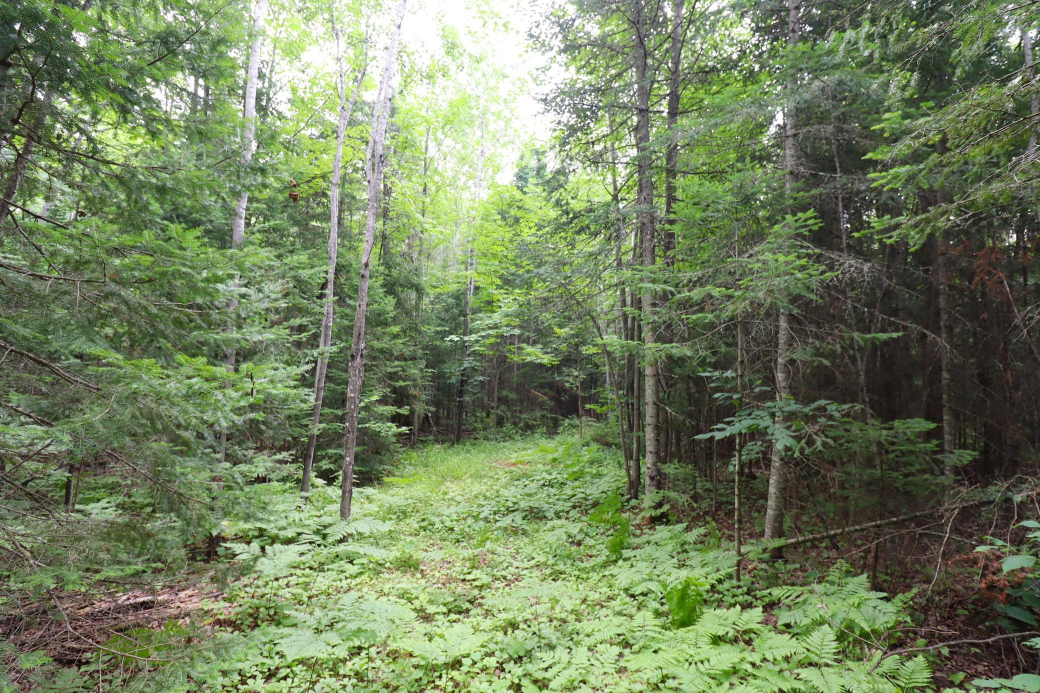 main property photo 57