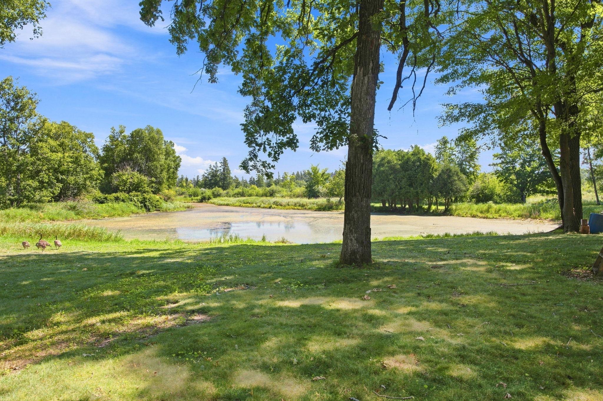 main property photo 39