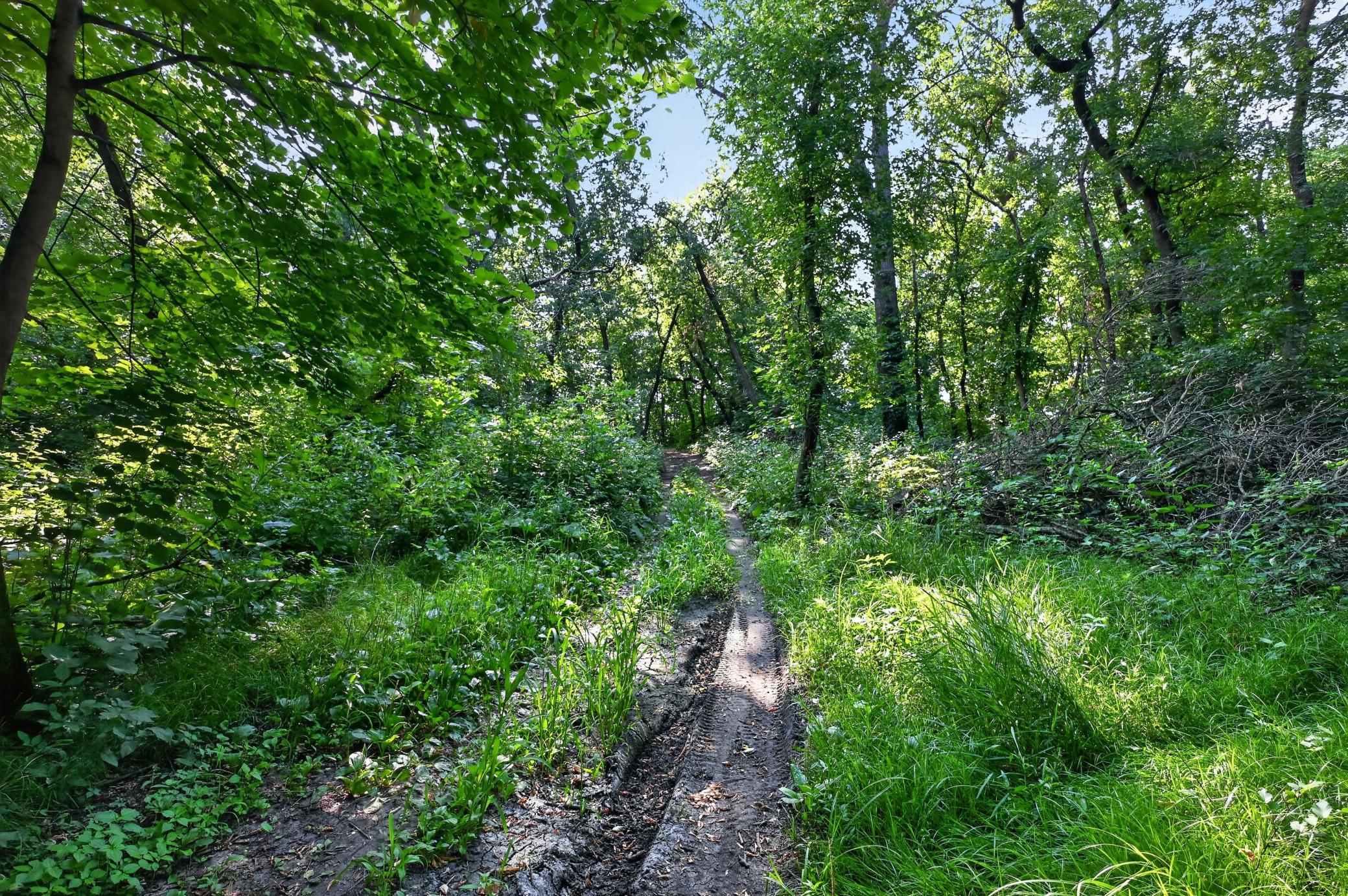 main property photo 16
