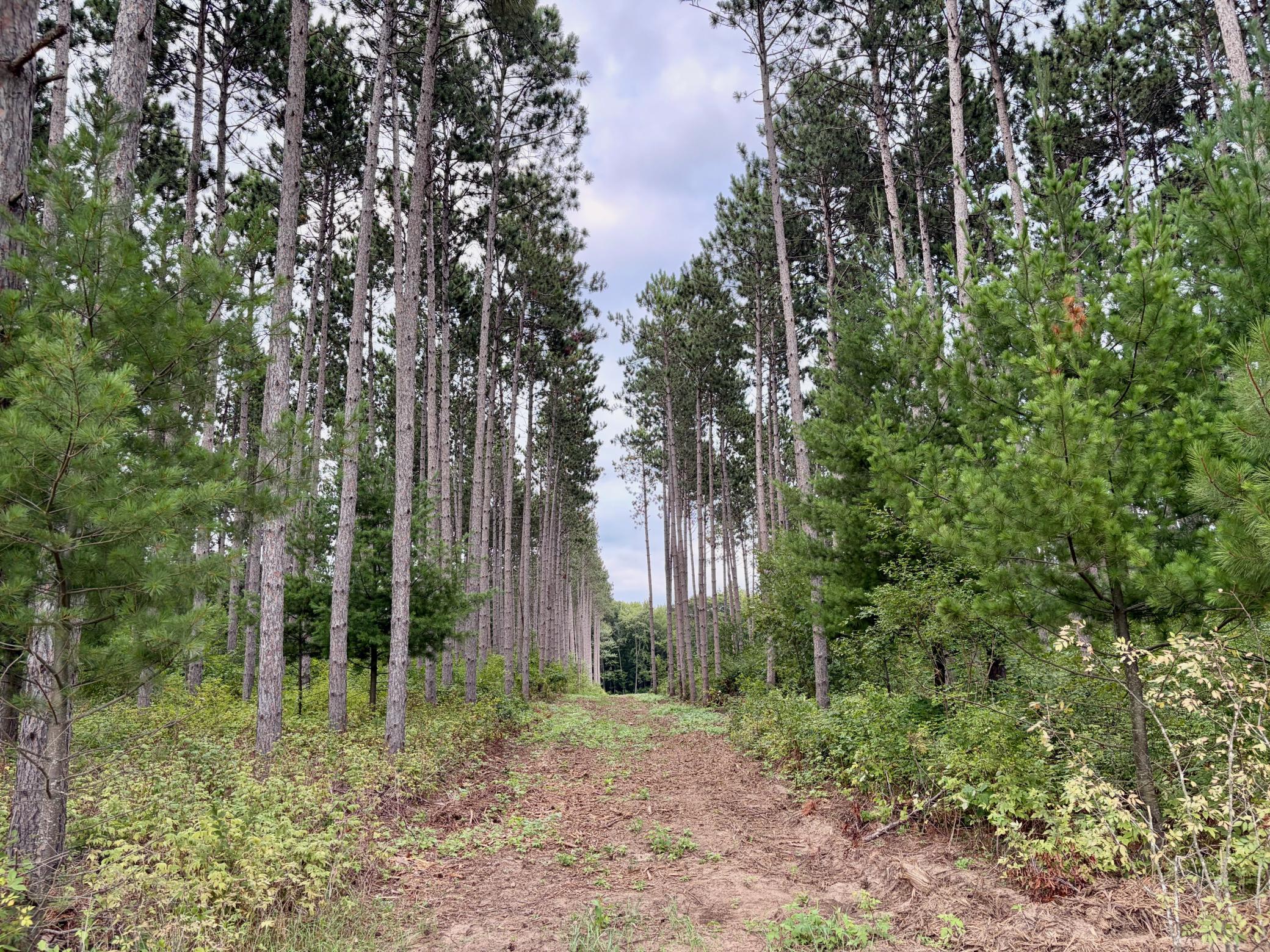 main property photo 0