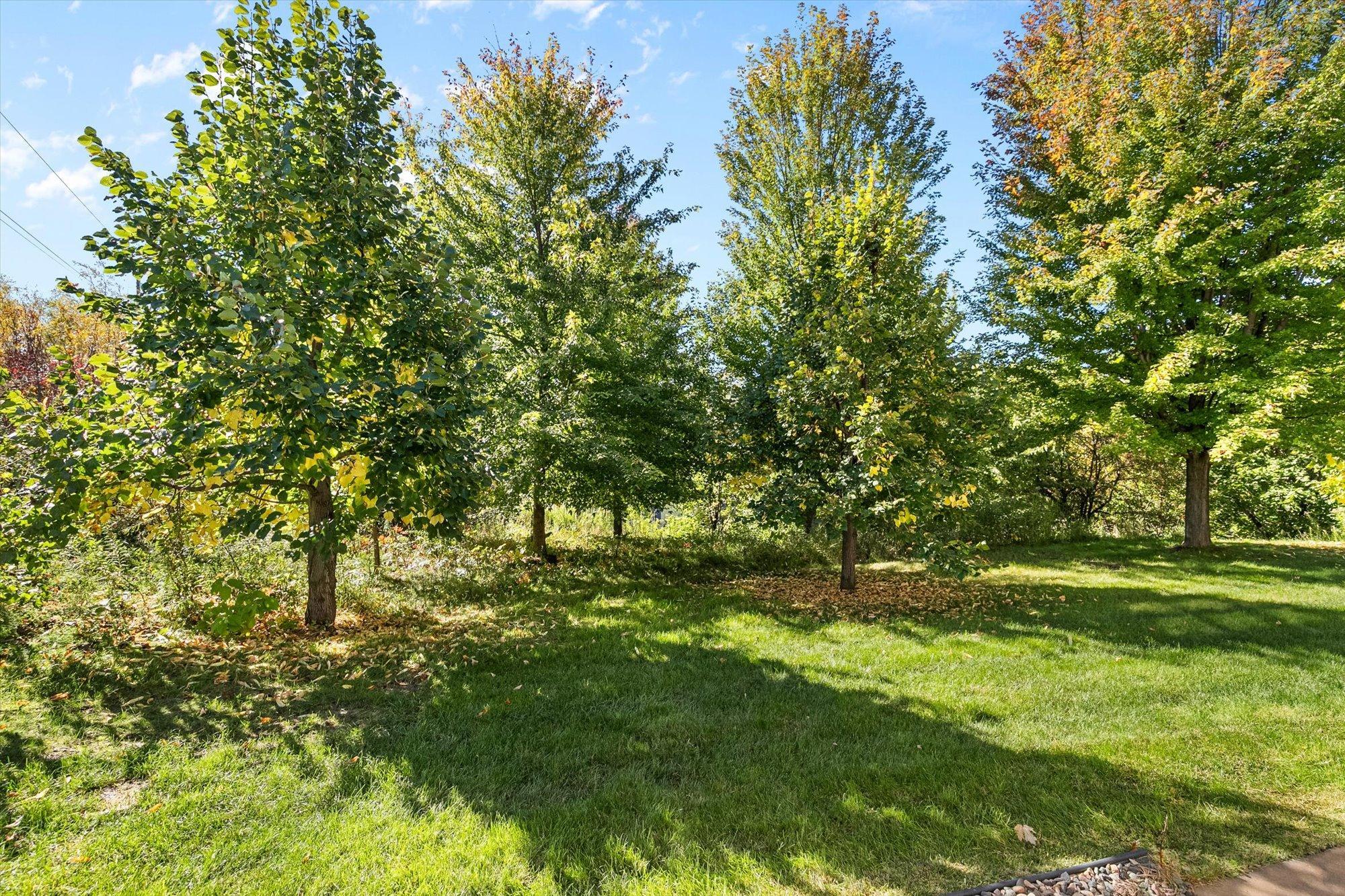 main property photo 54