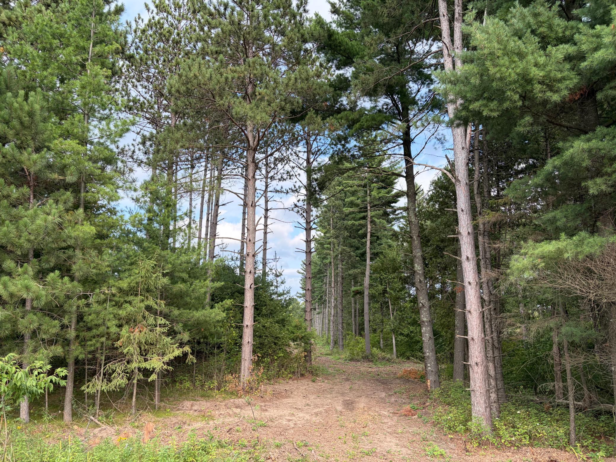 main property photo 0