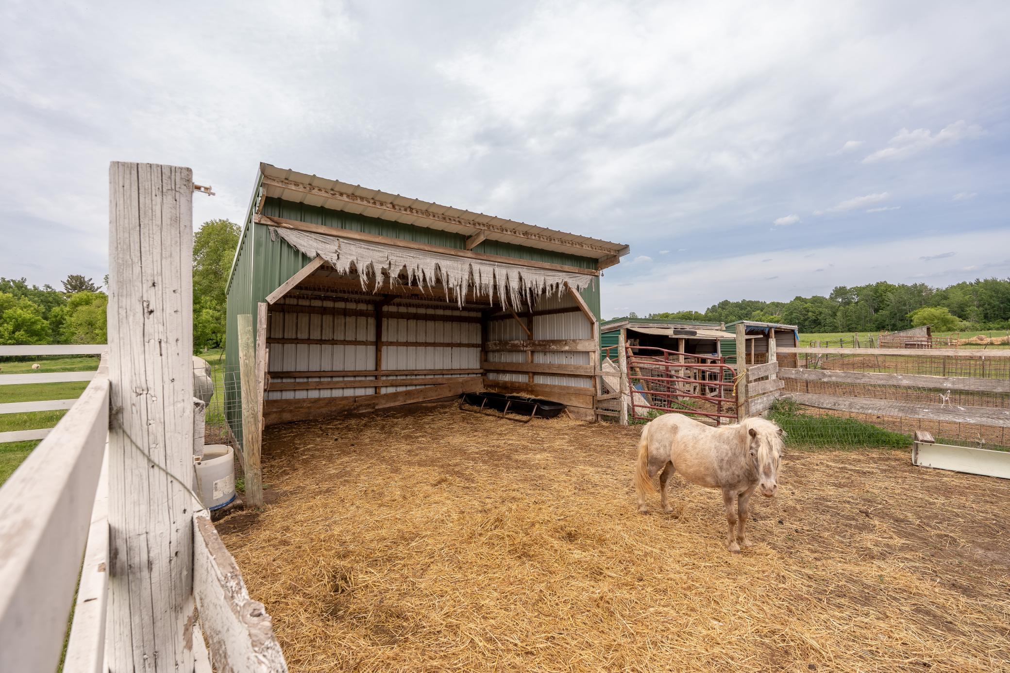 main property photo 31