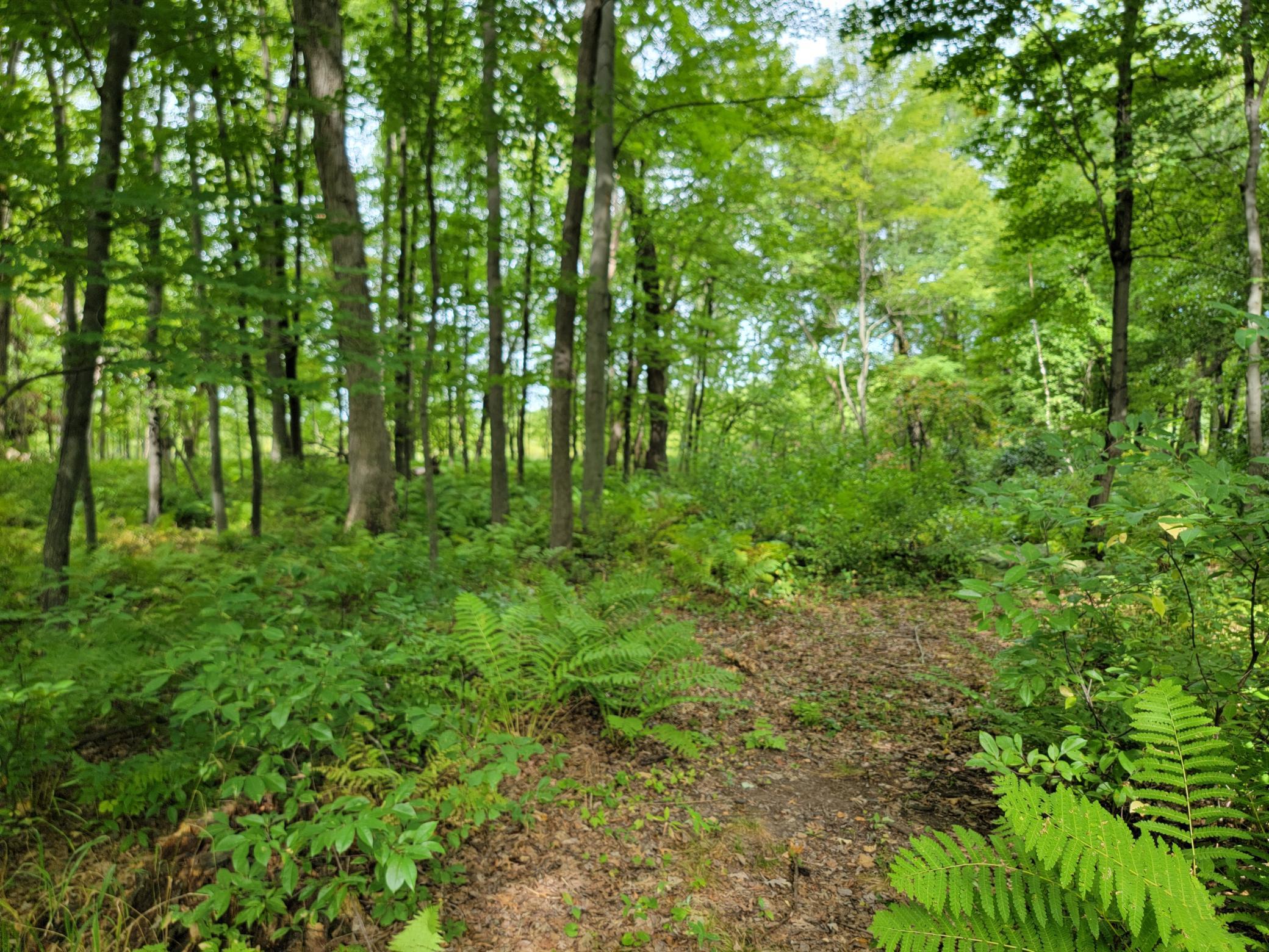 main property photo 30