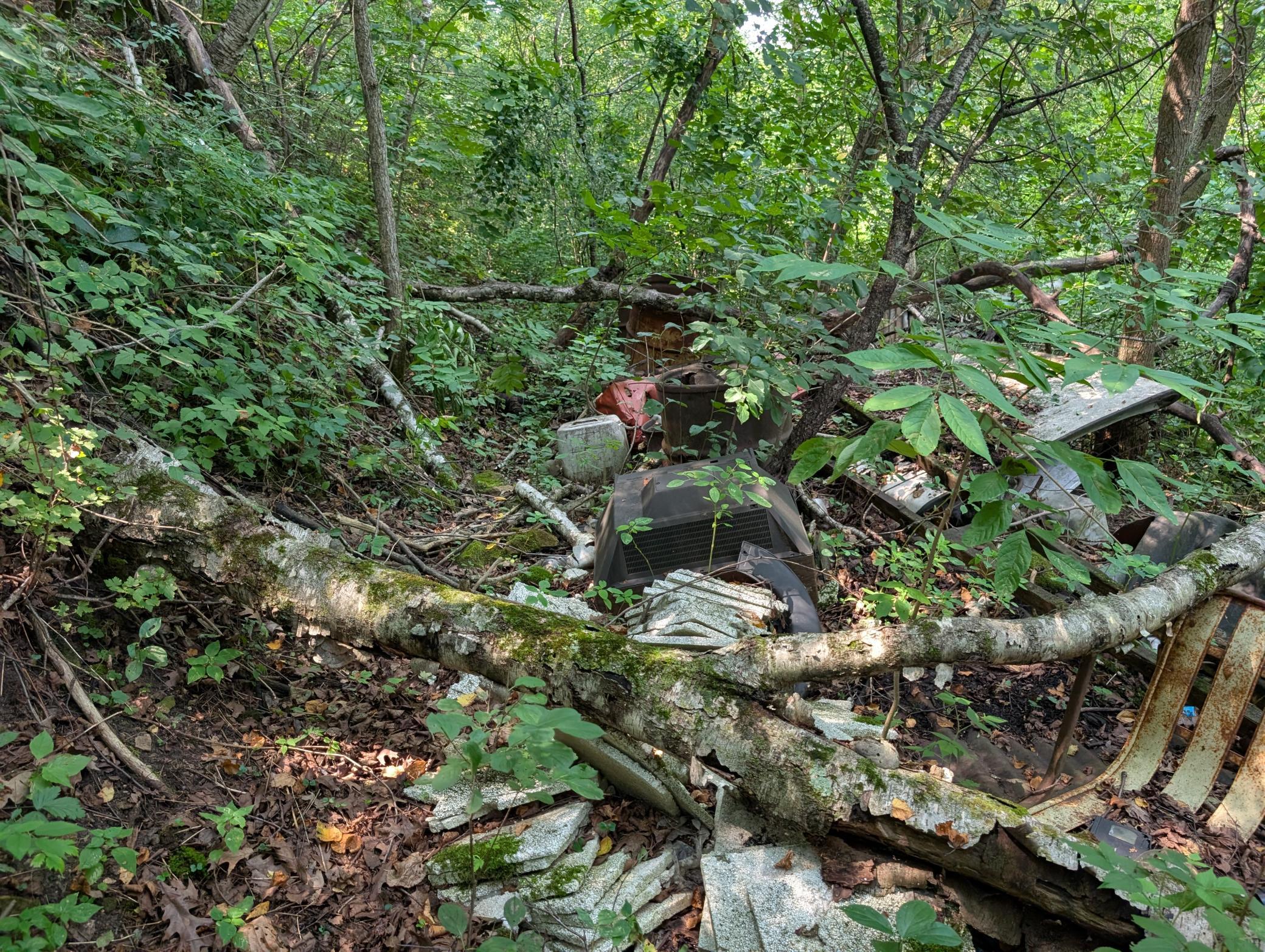 main property photo 37