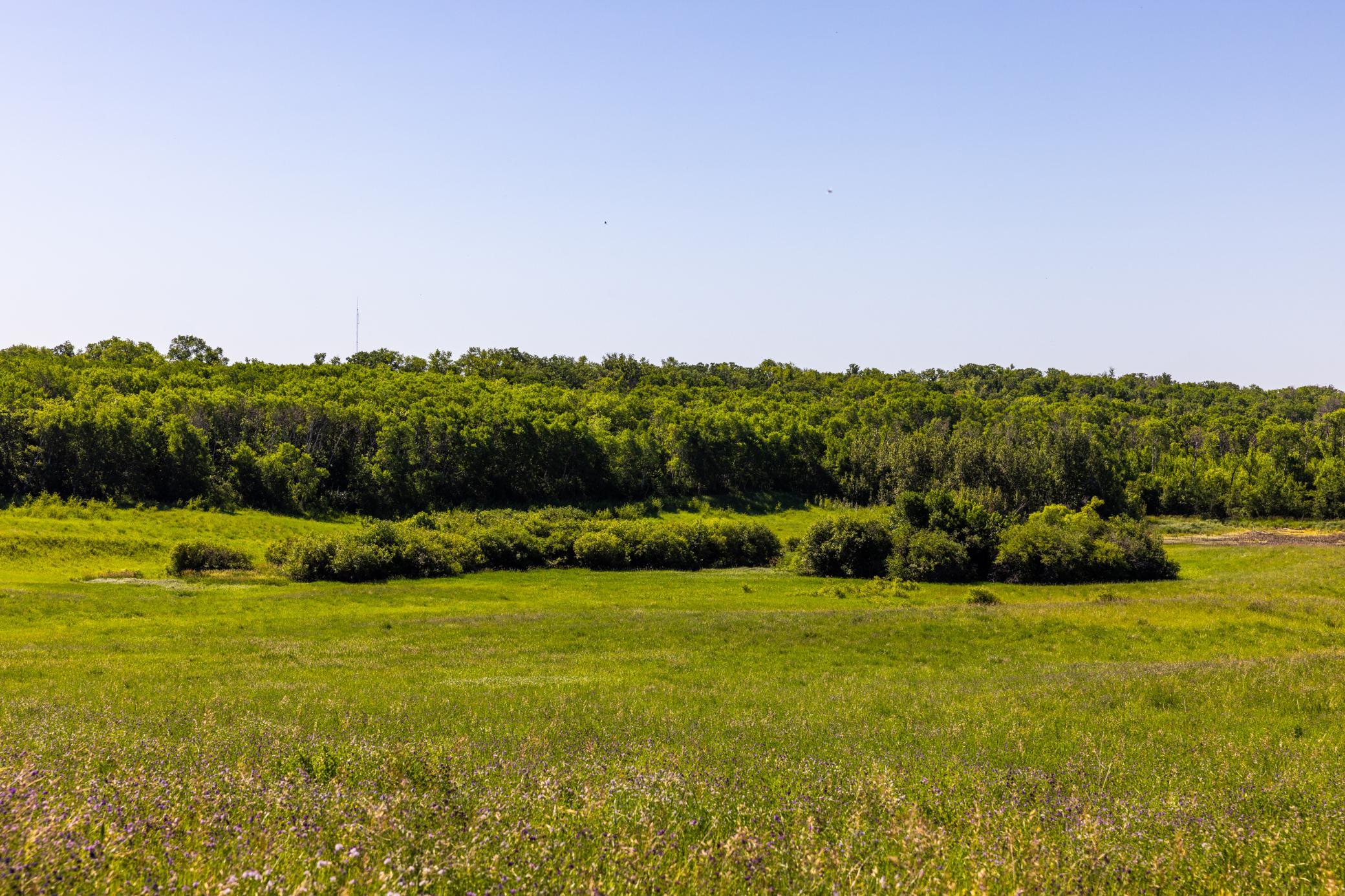 main property photo 61