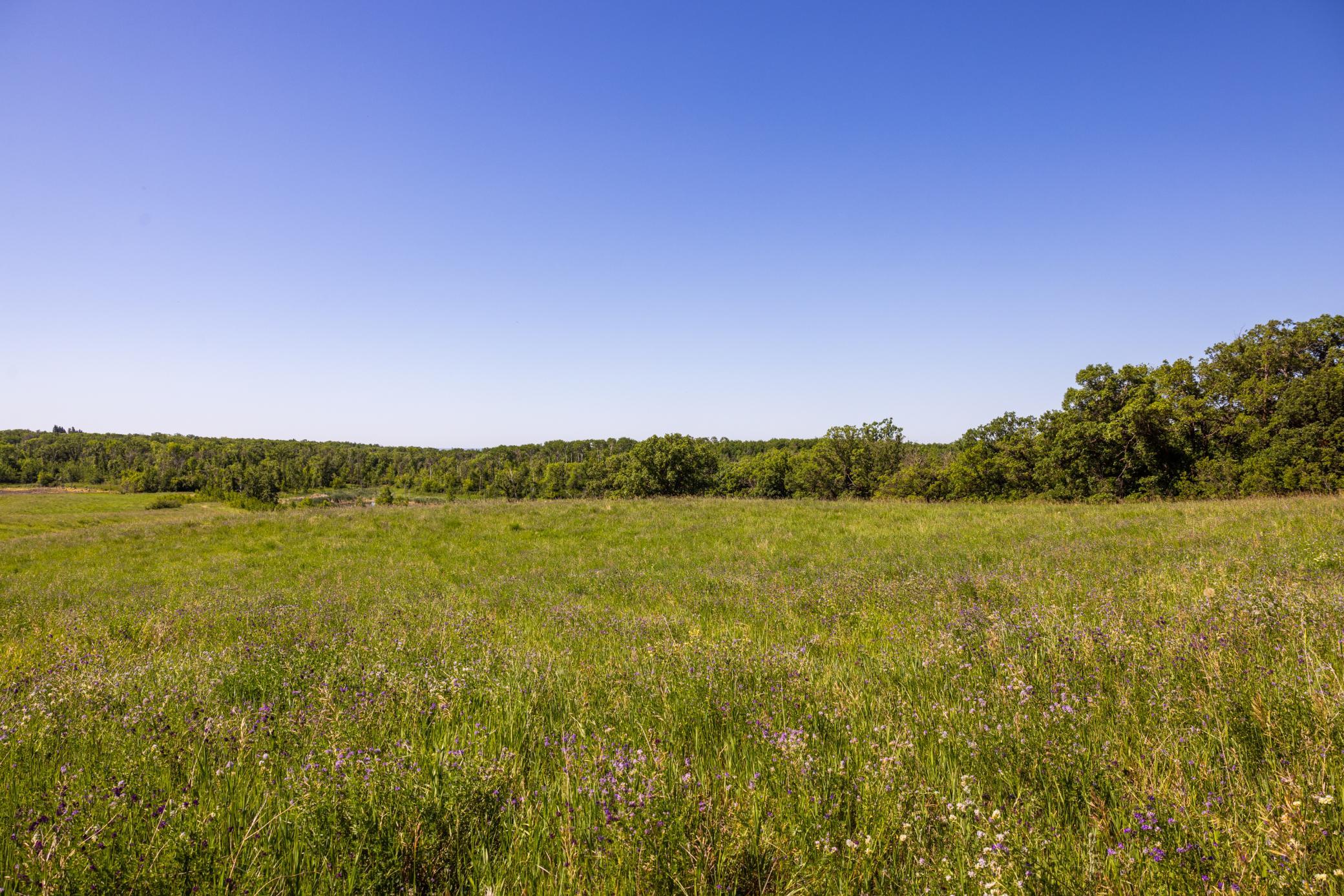 main property photo 64