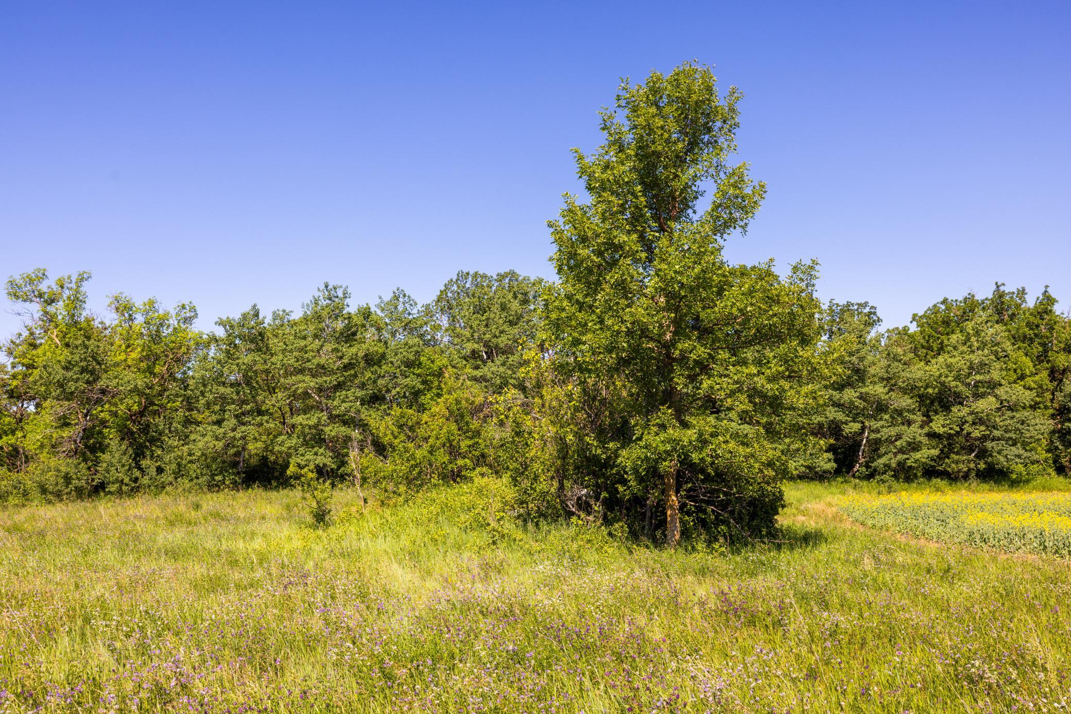 main property photo 65