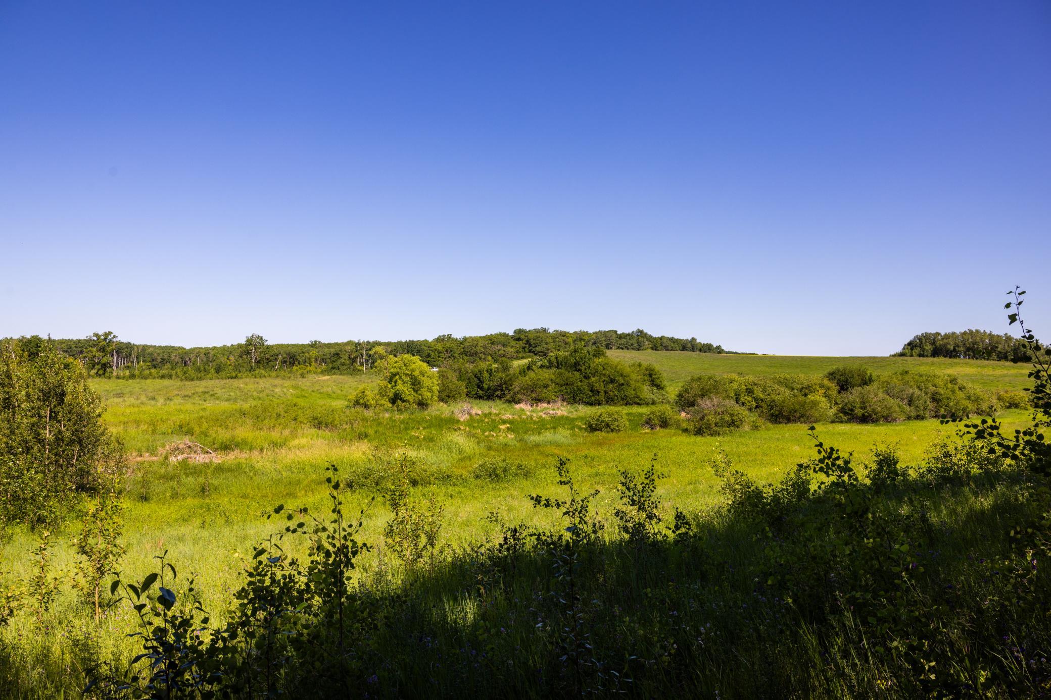 main property photo 71