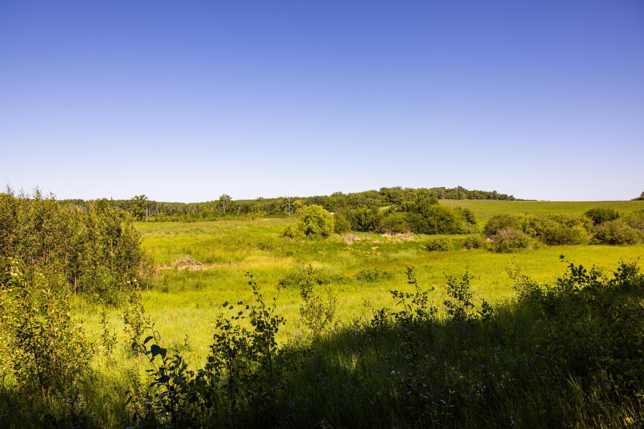 main property photo 73