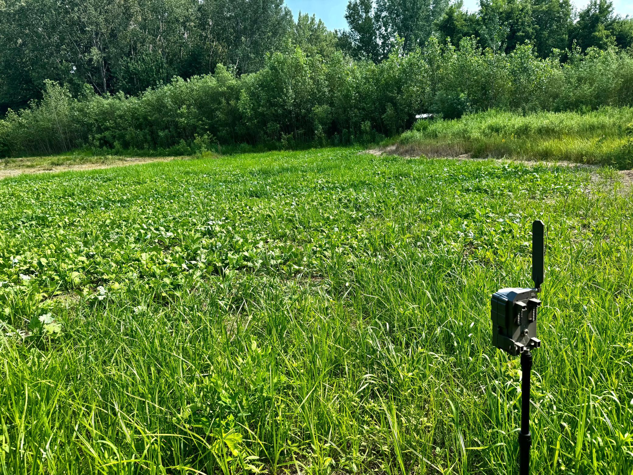 main property photo 0