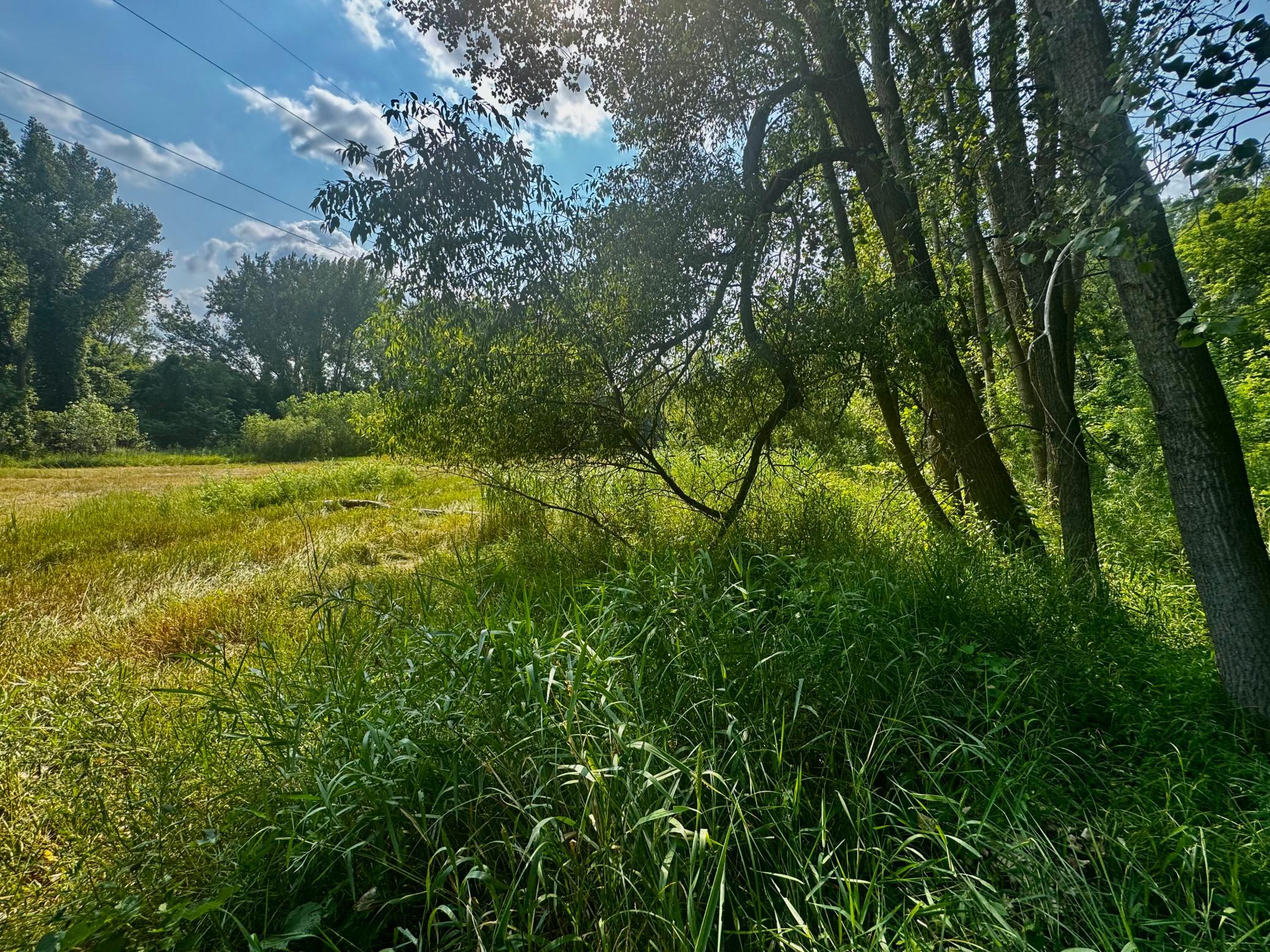 main property photo 41