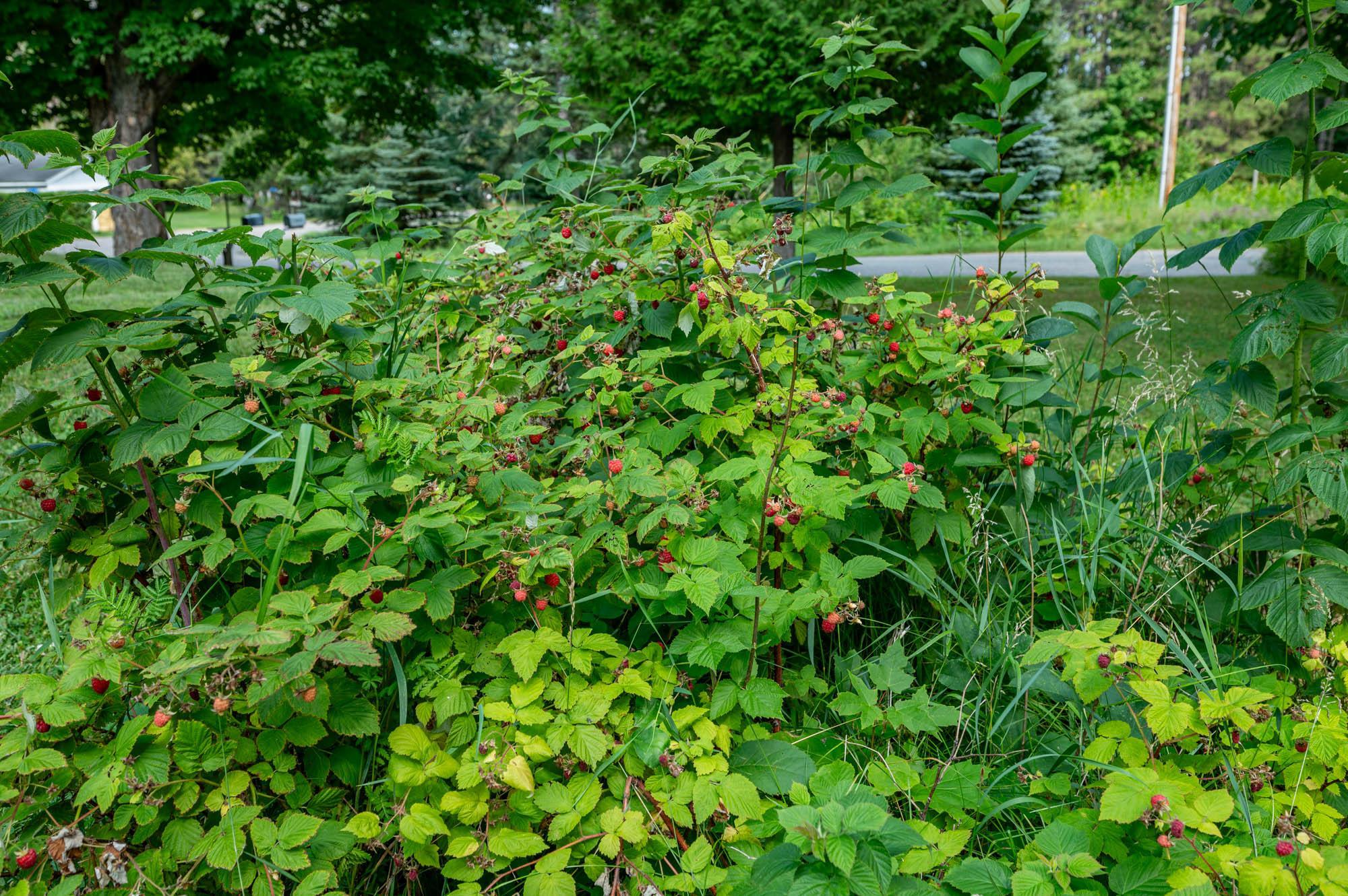 main property photo 60