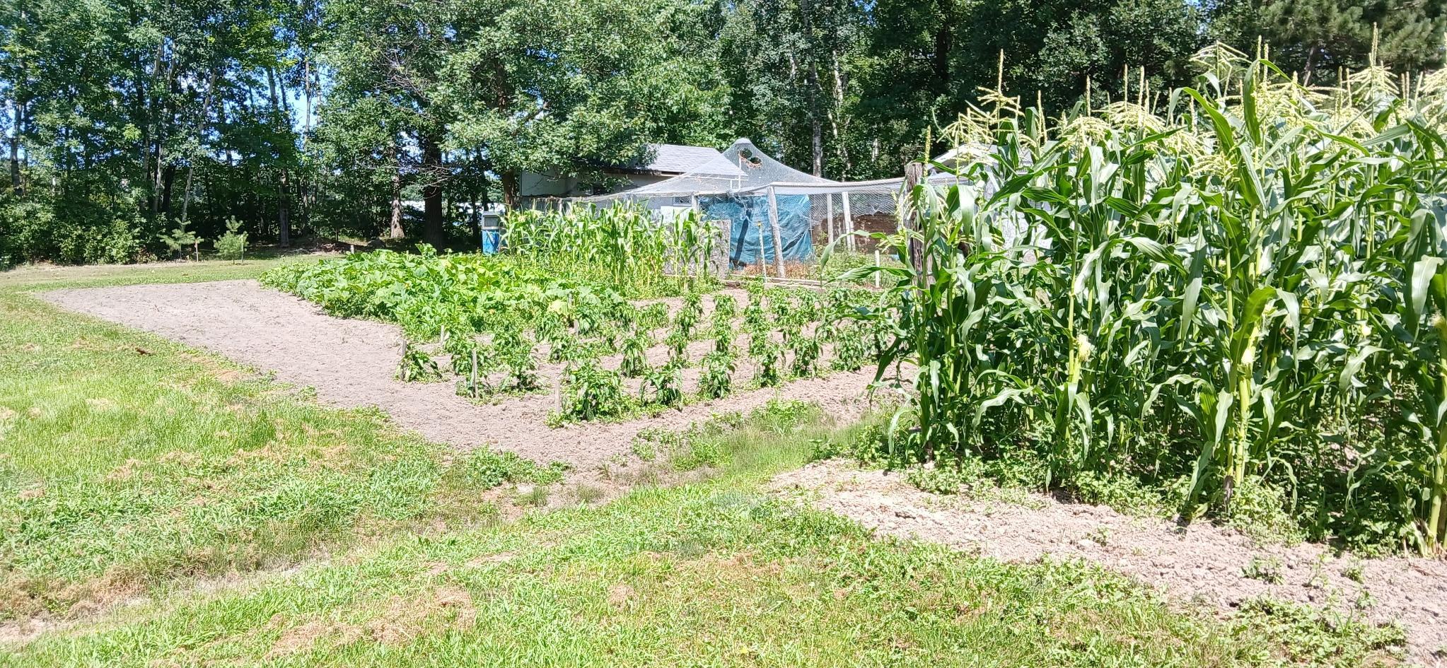 main property photo 6