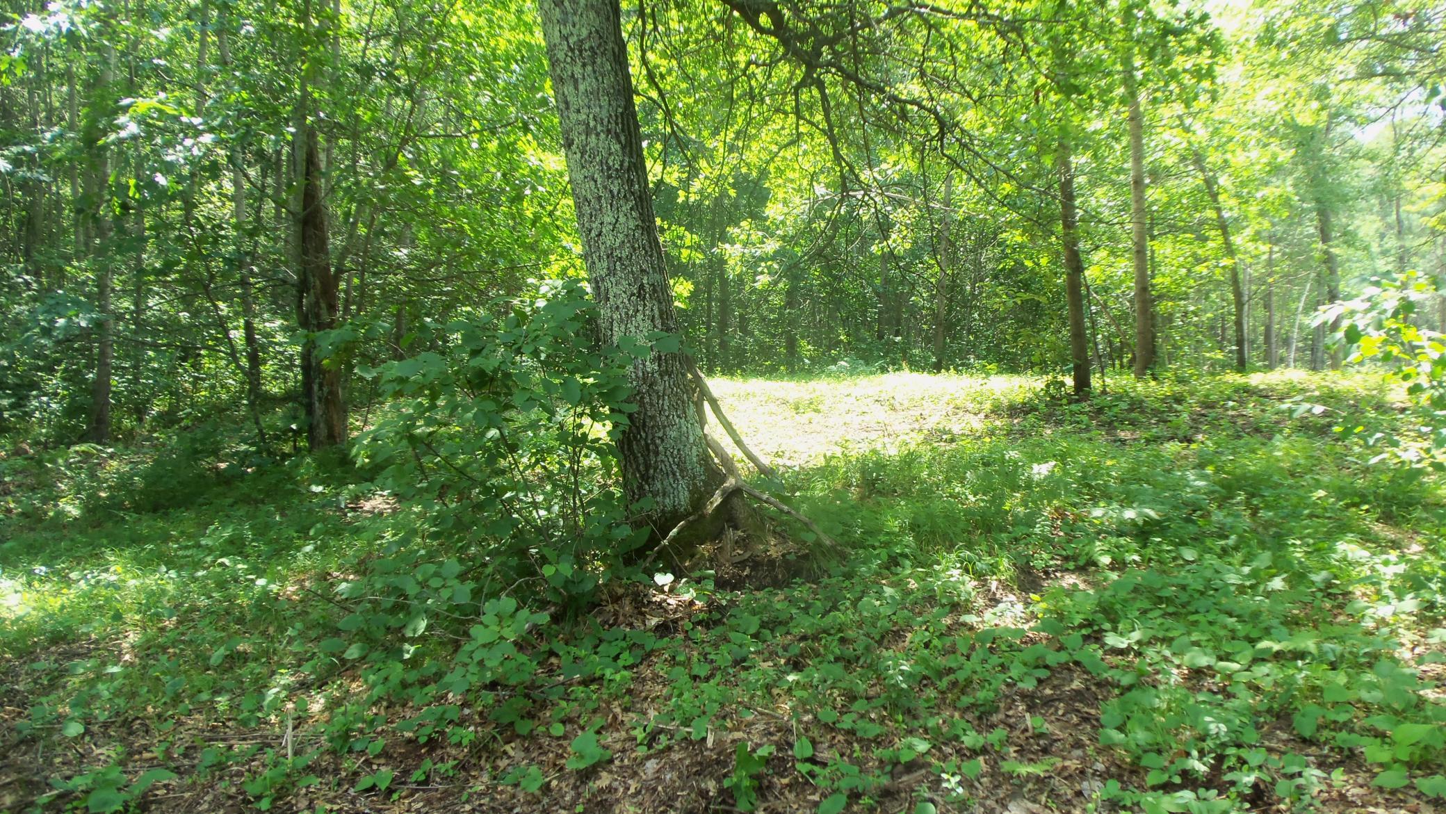 main property photo 10