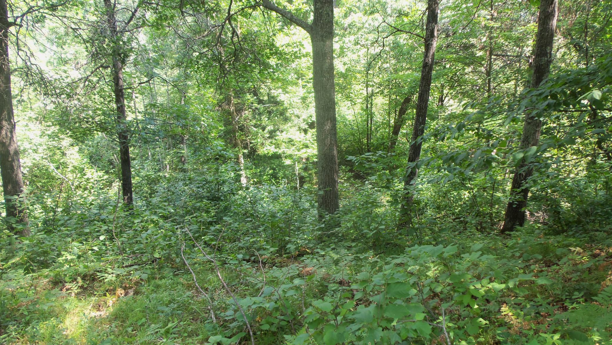 main property photo 8