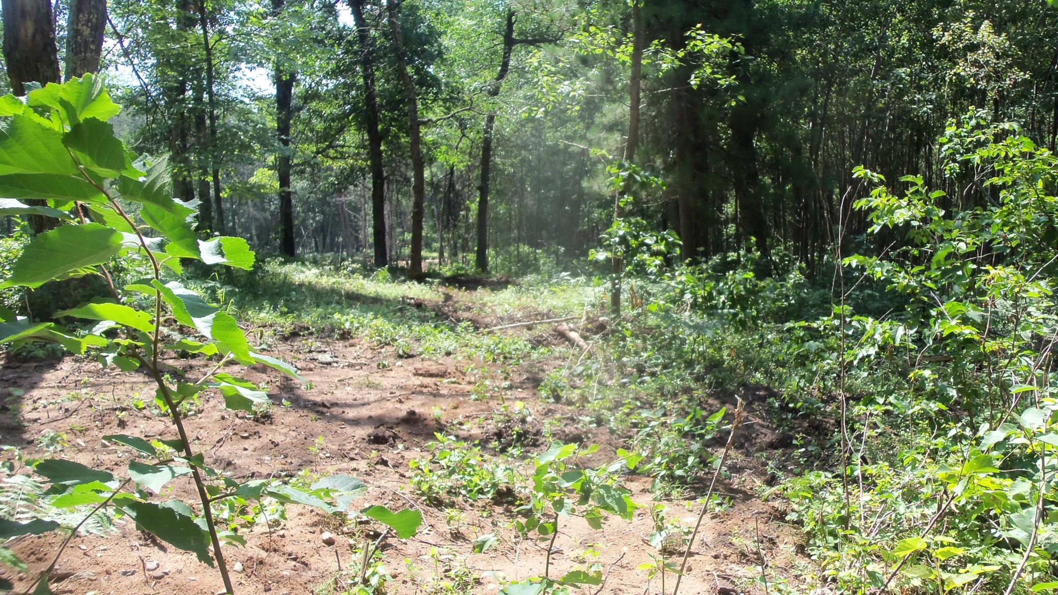 main property photo 6
