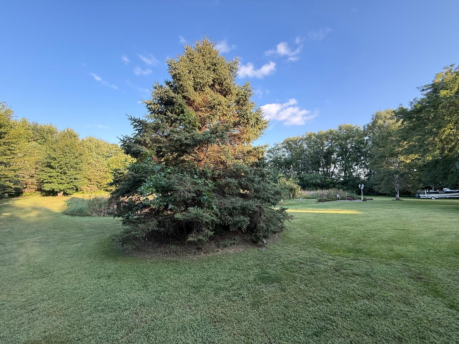 main property photo 45