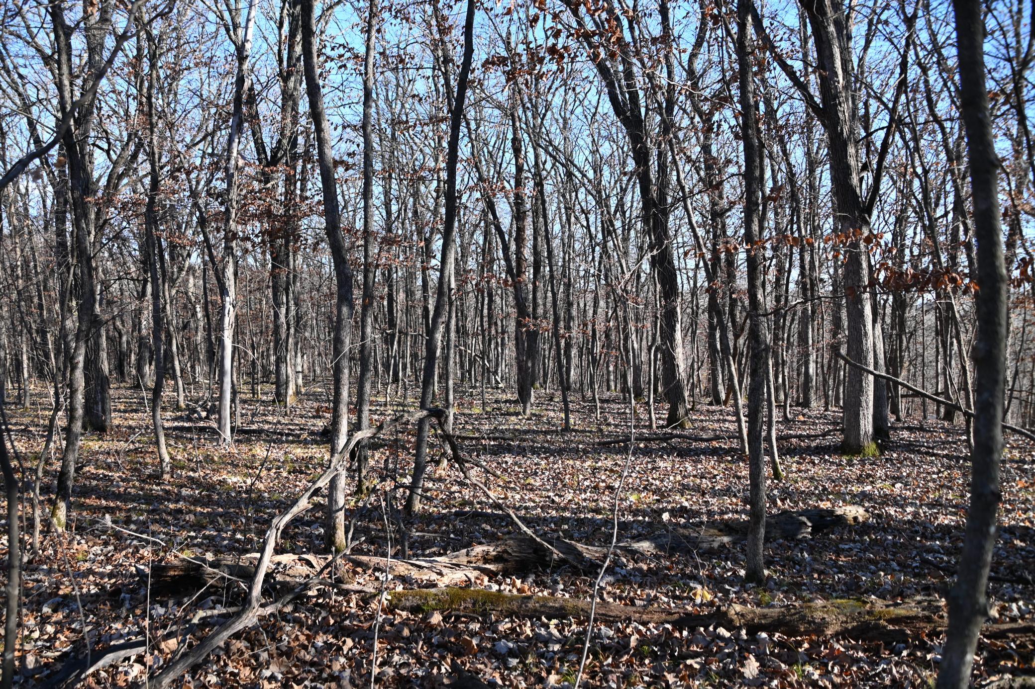 main property photo 16
