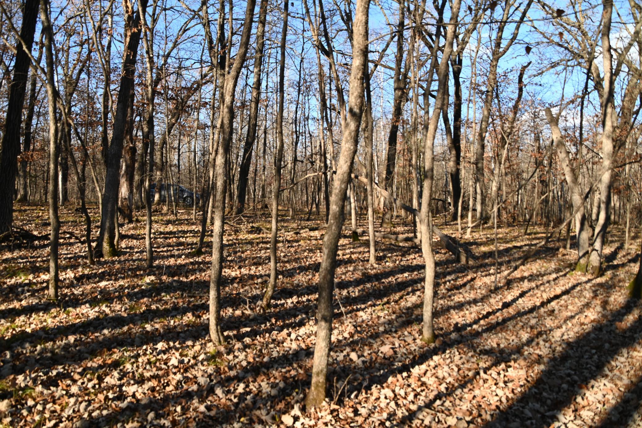 main property photo 24