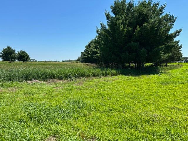 main property photo 14