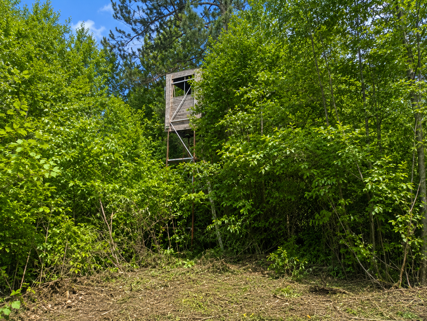 main property photo 8