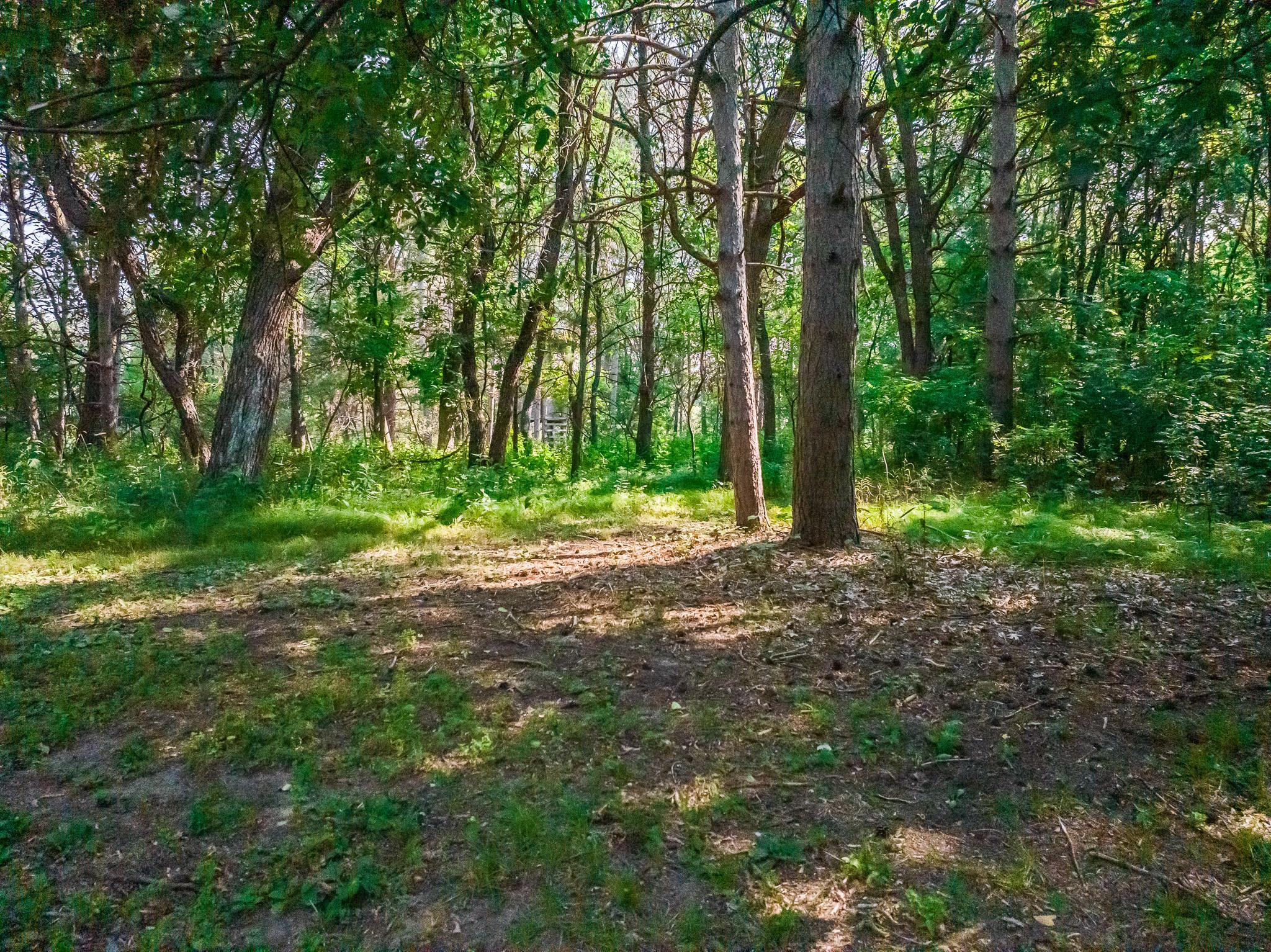main property photo 71
