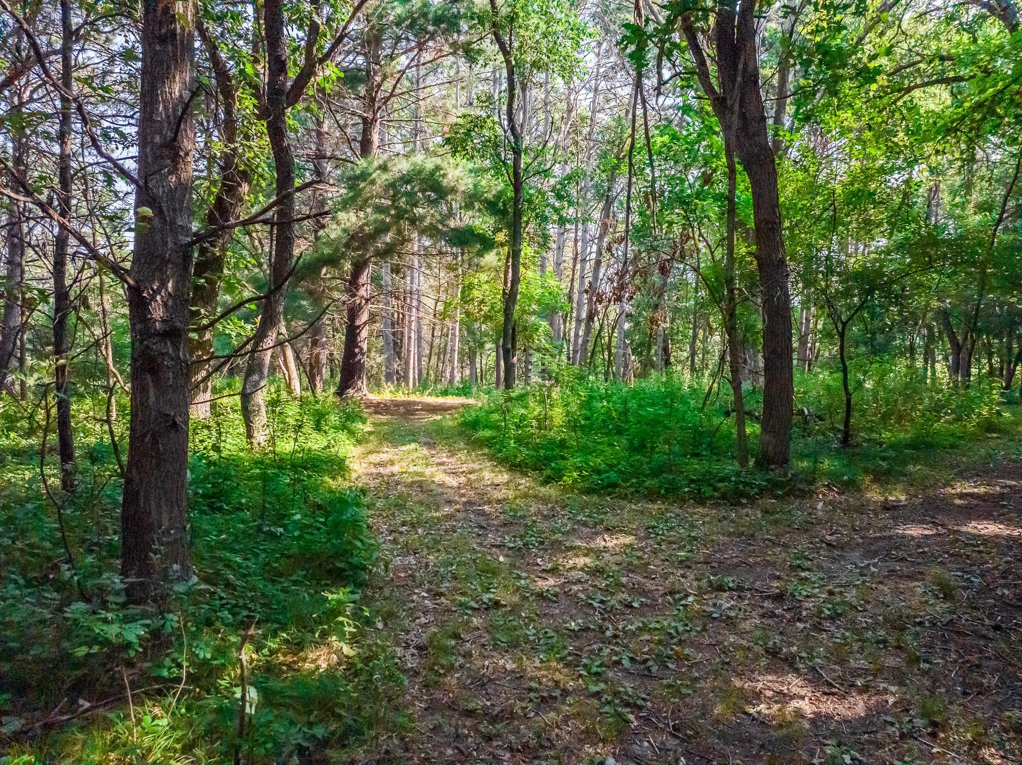 main property photo 72