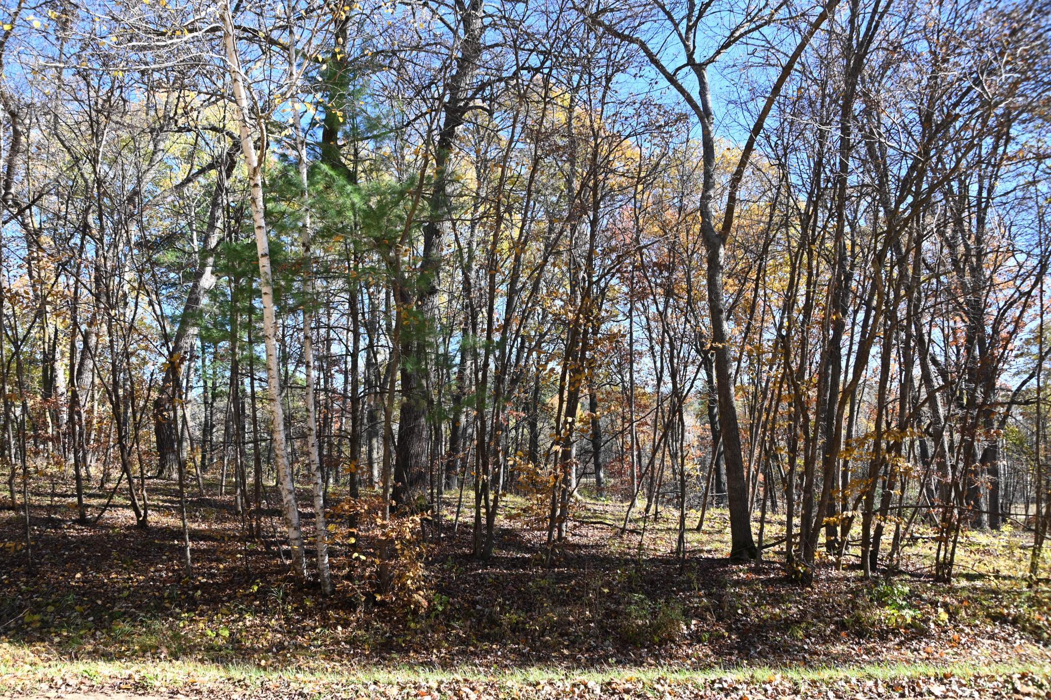 main property photo 9