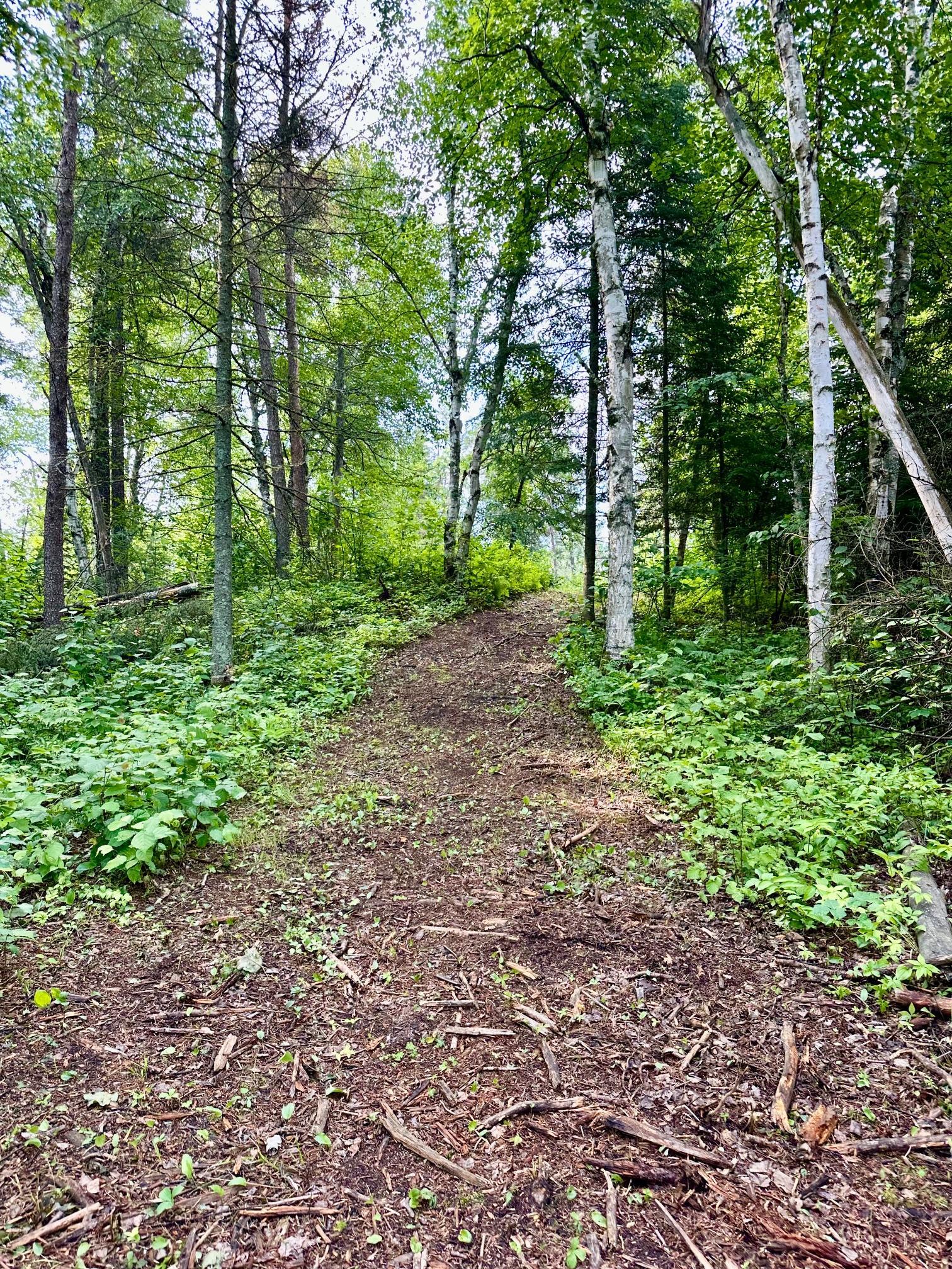 main property photo 43