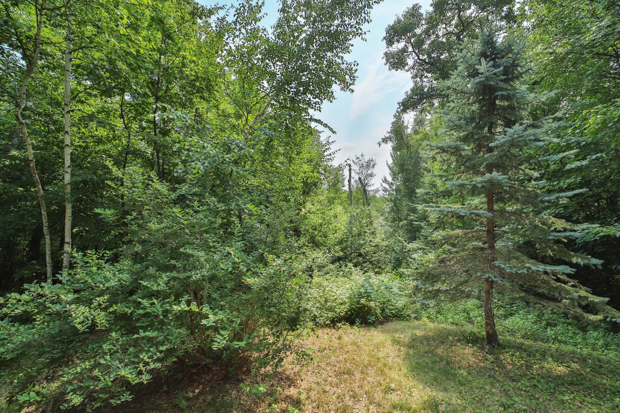 main property photo 52