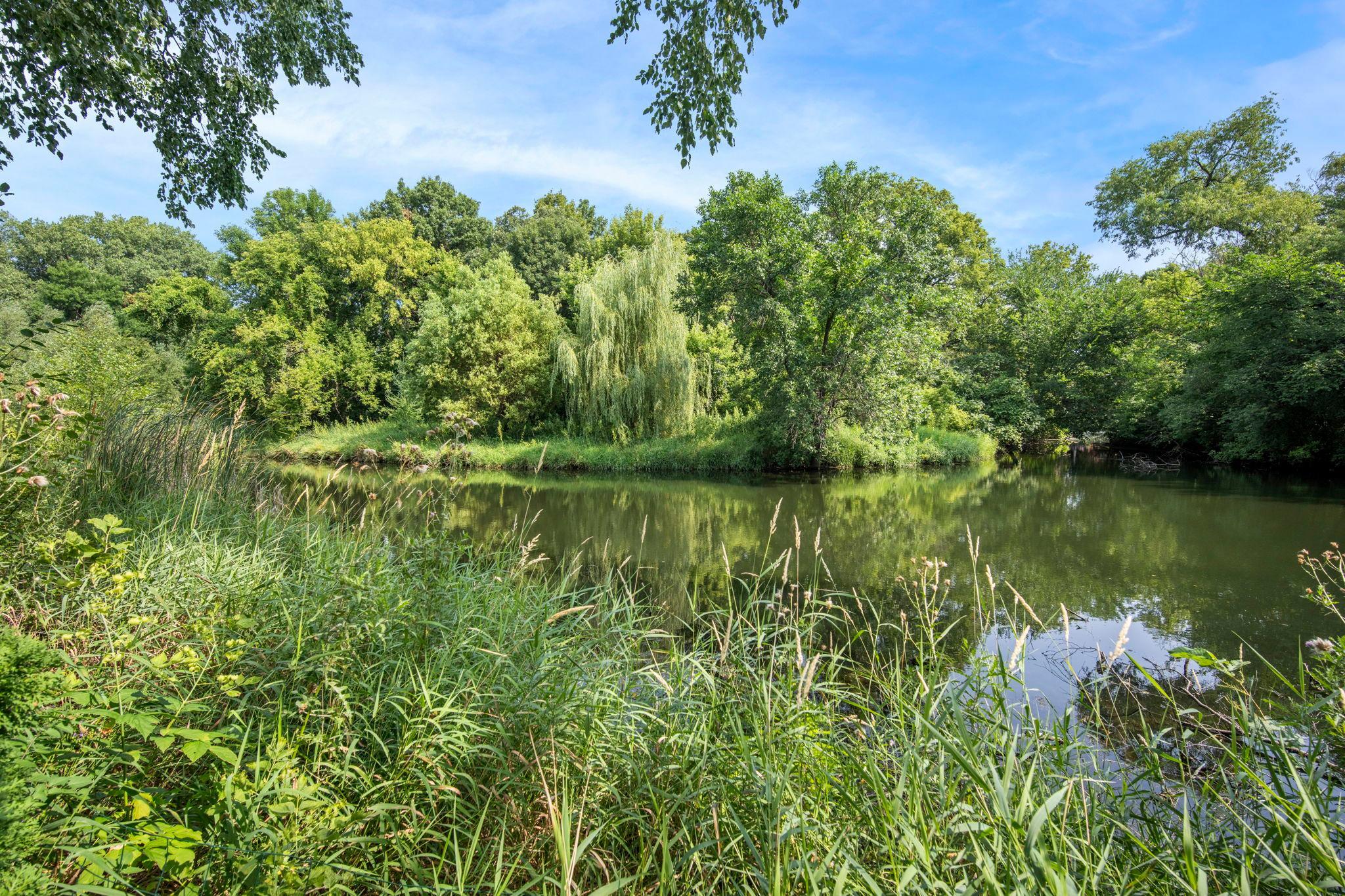 main property photo 80