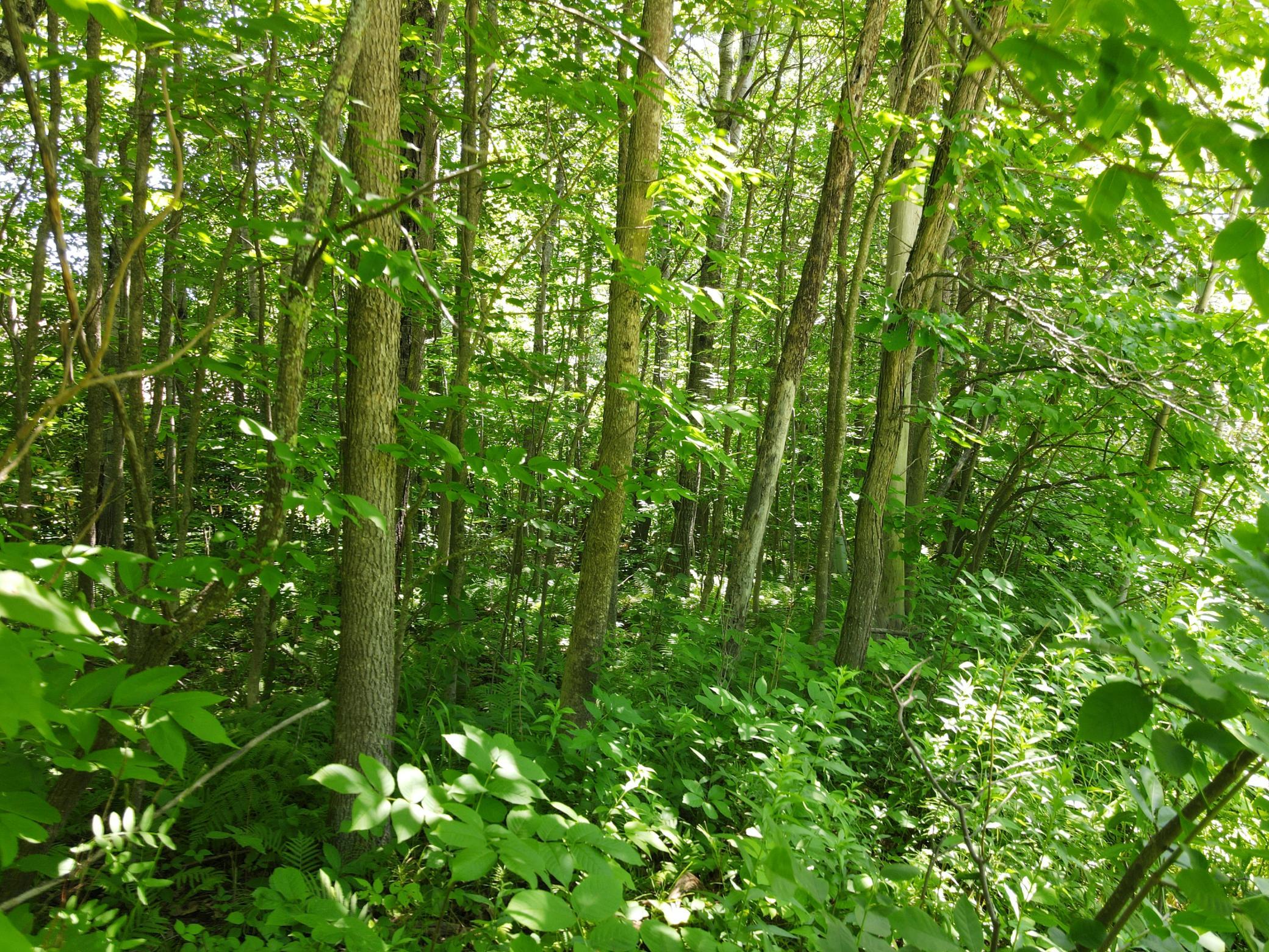 main property photo 12