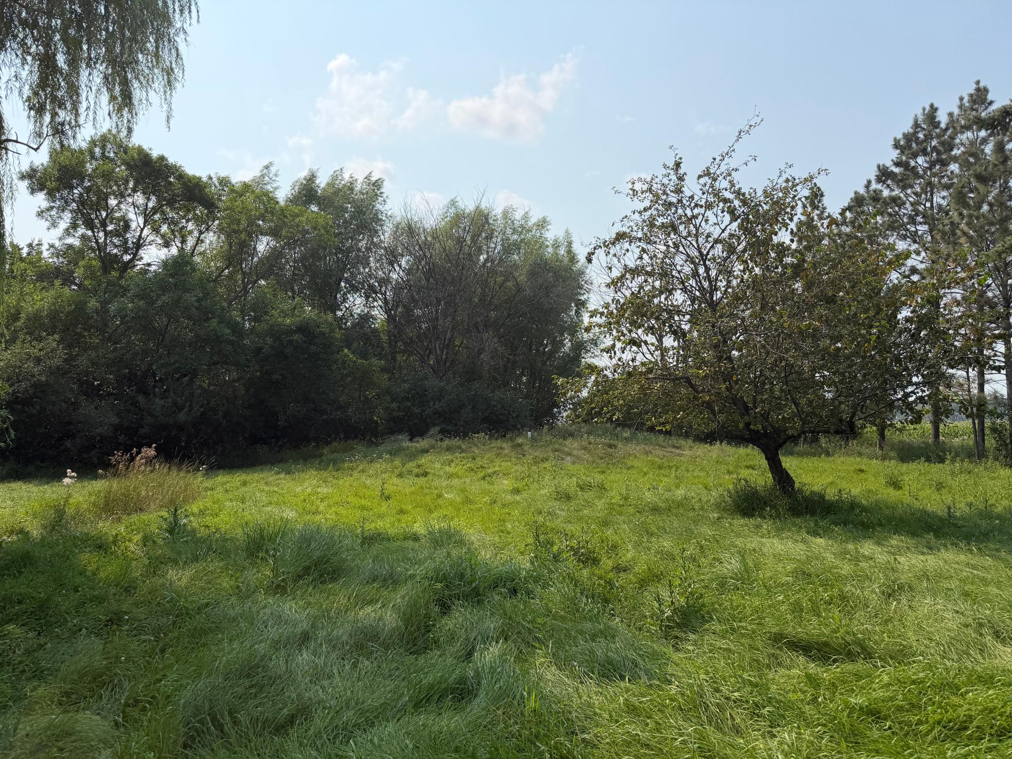 main property photo 19