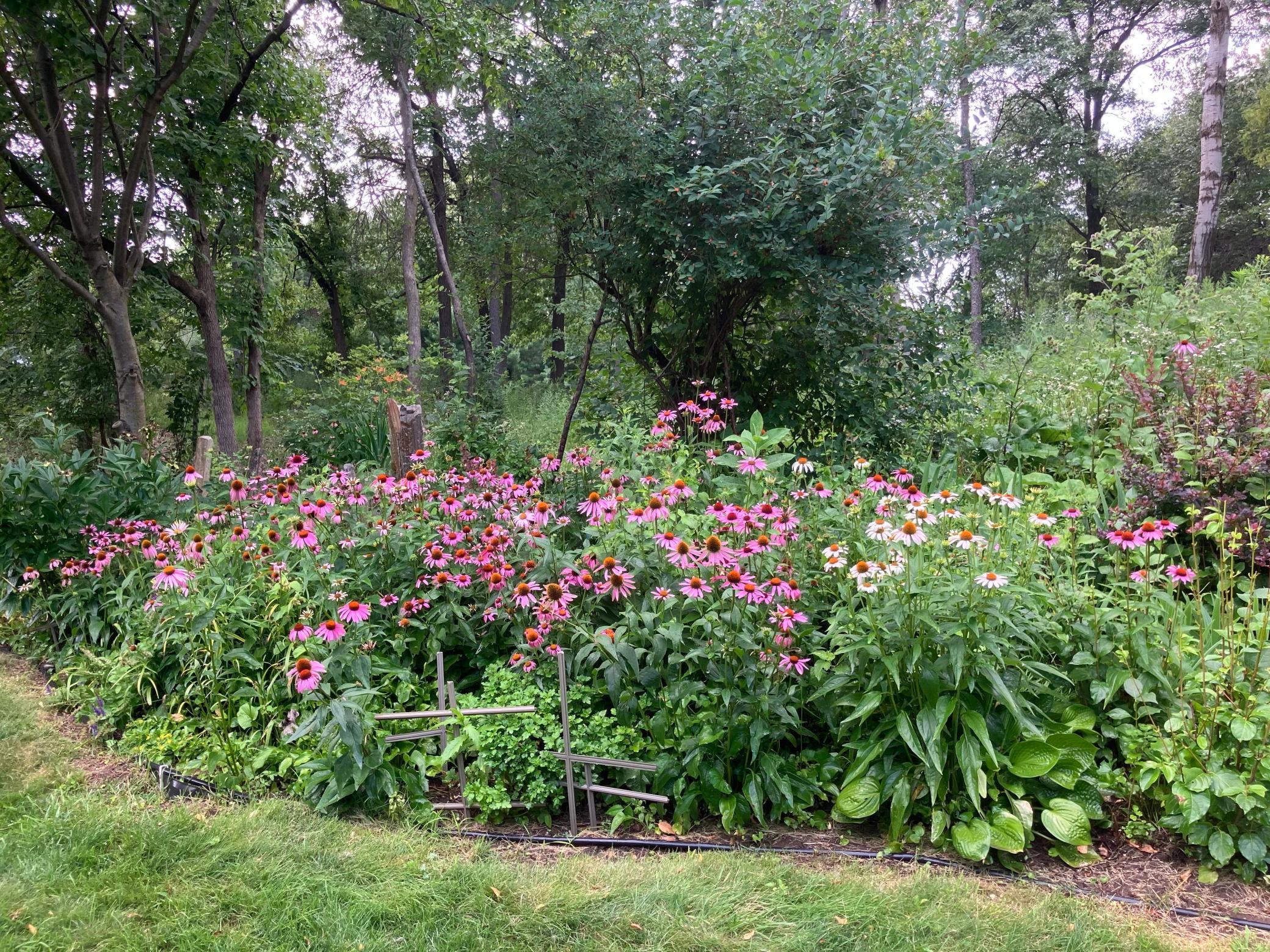 main property photo 59