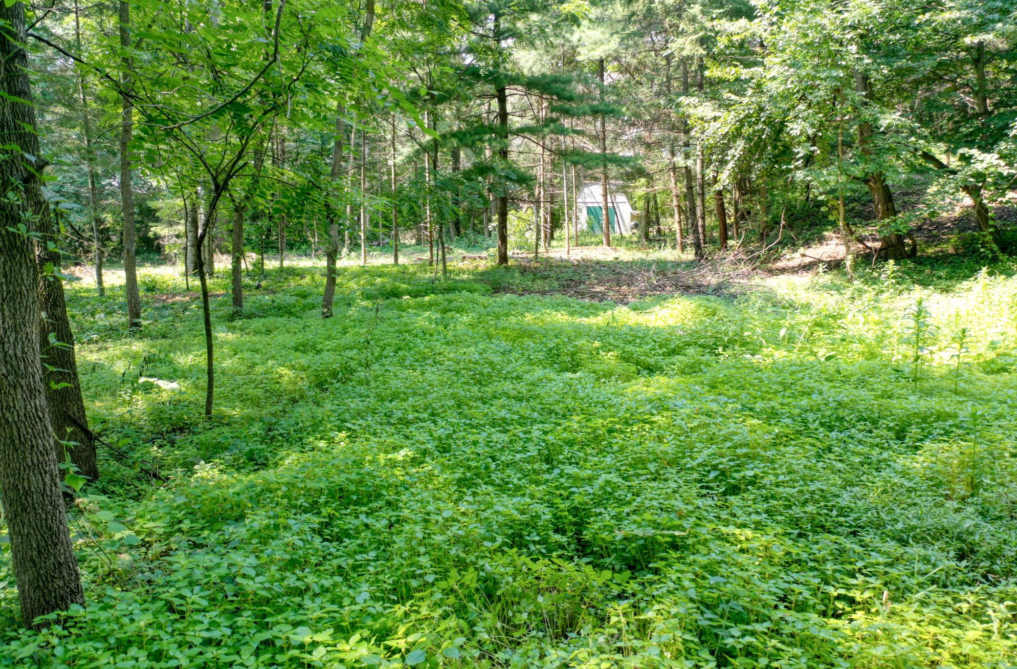 main property photo 0