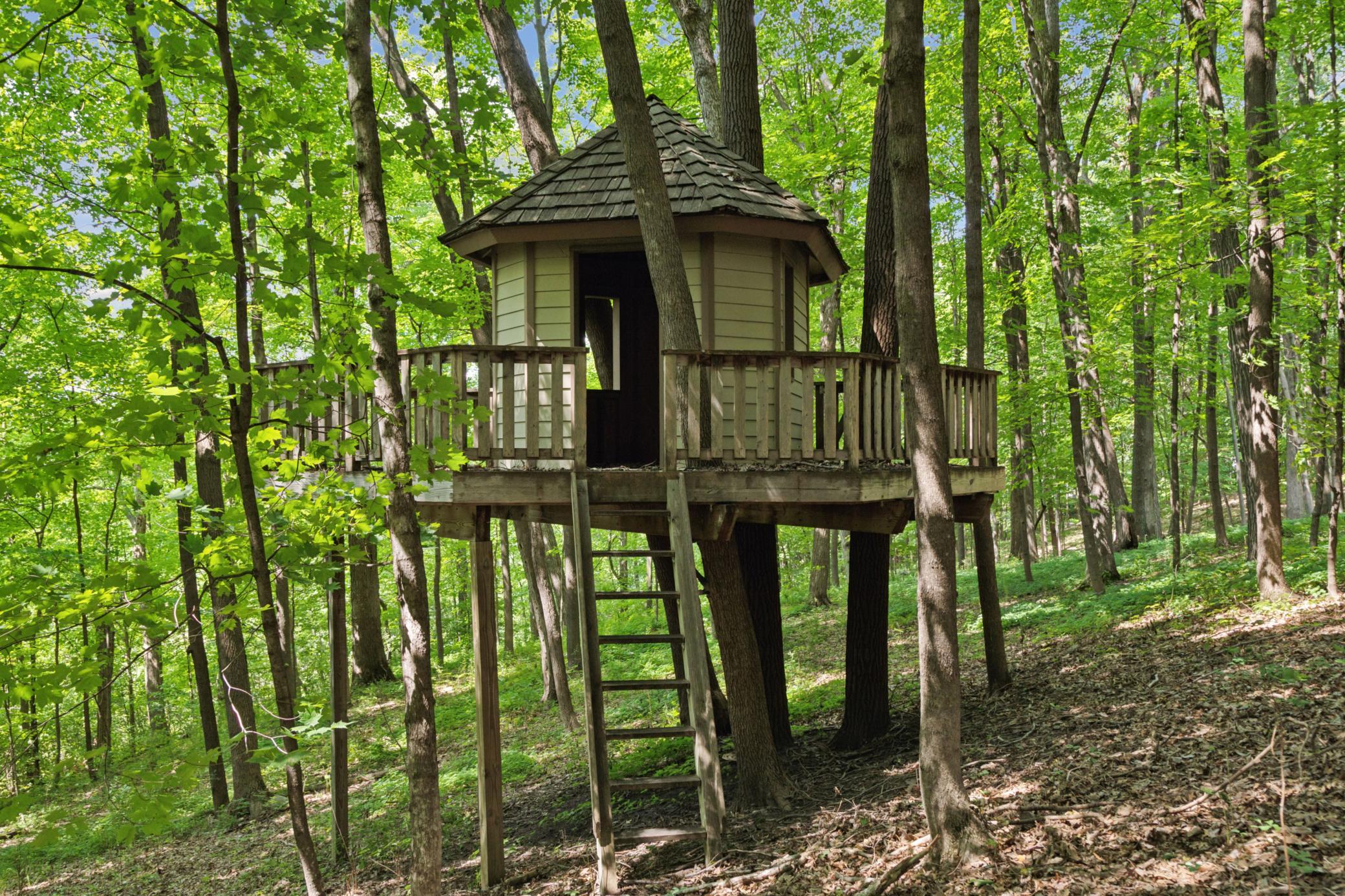 main property photo 59
