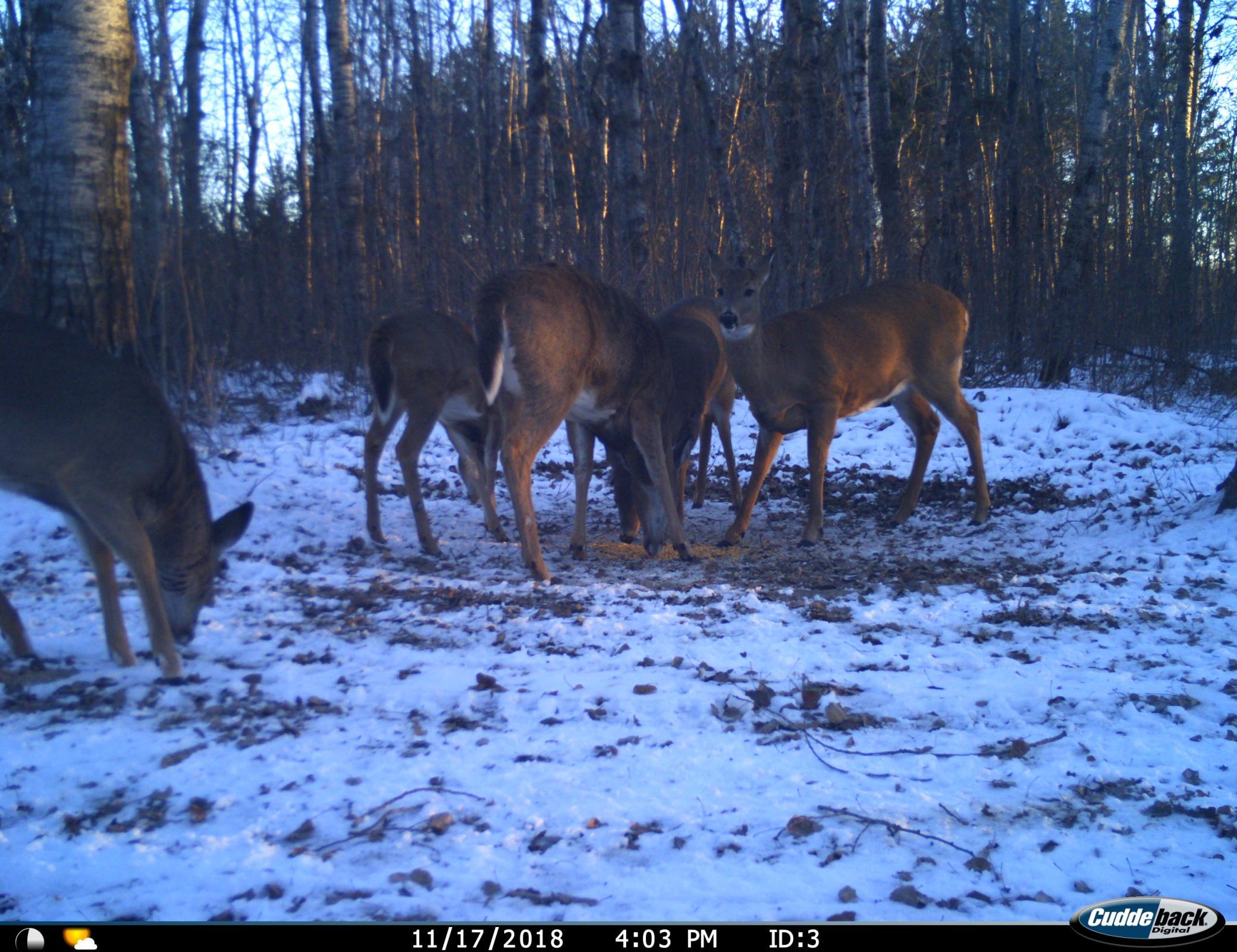 main property photo 11