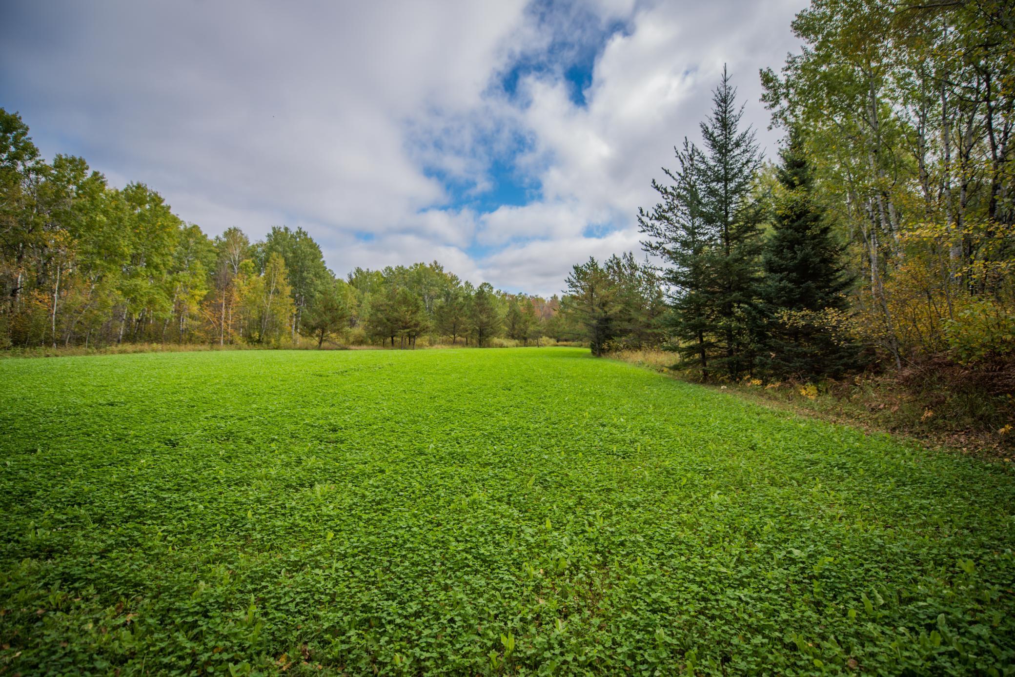 main property photo 18