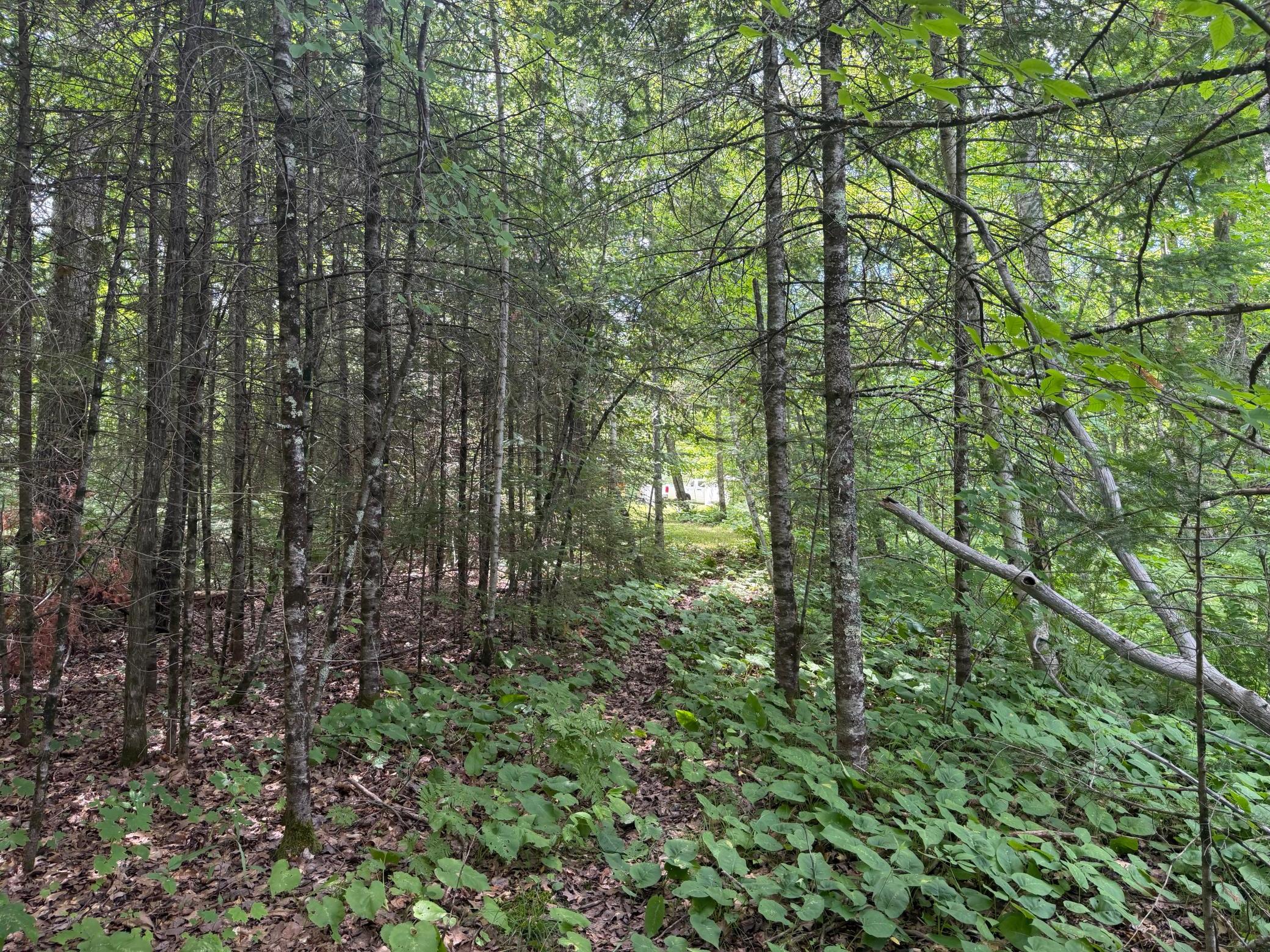 main property photo 21