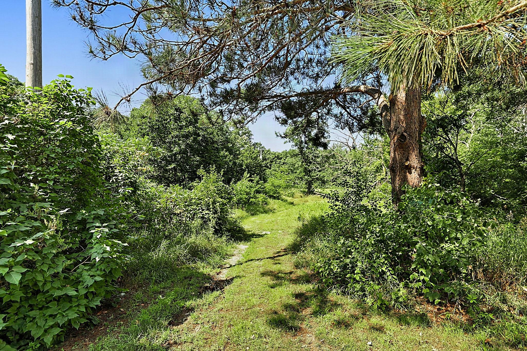 main property photo 25