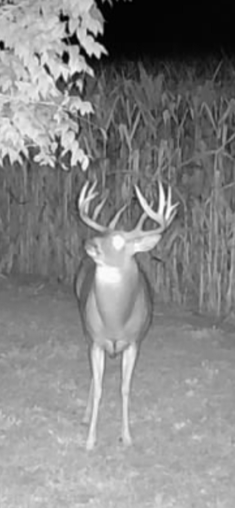 main property photo 57