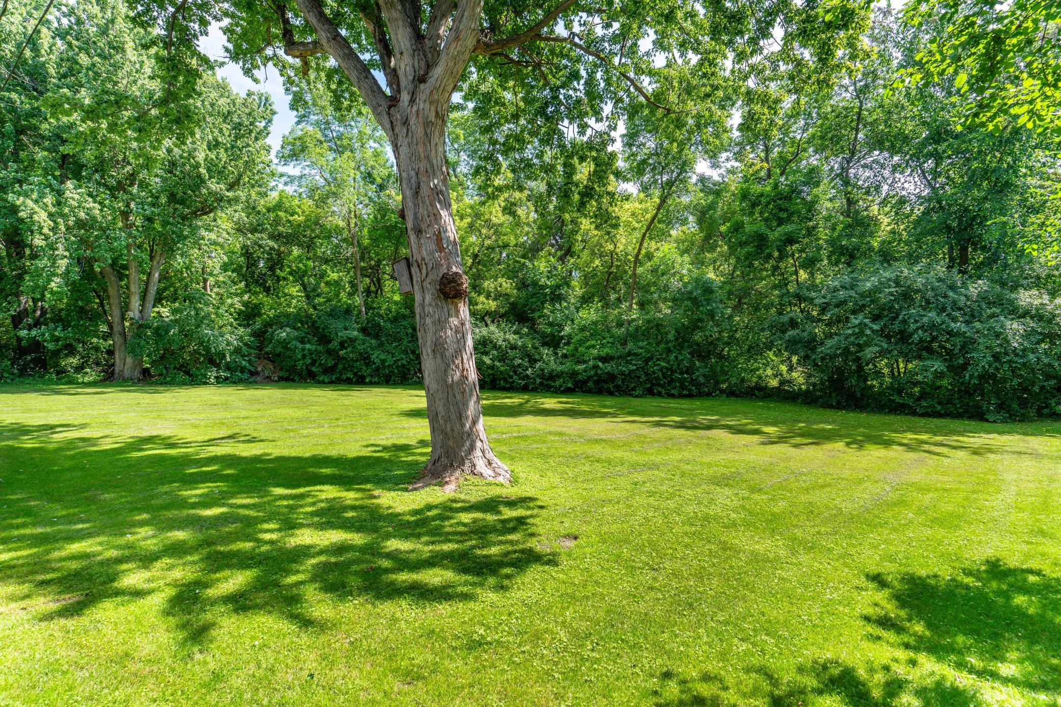 main property photo 49